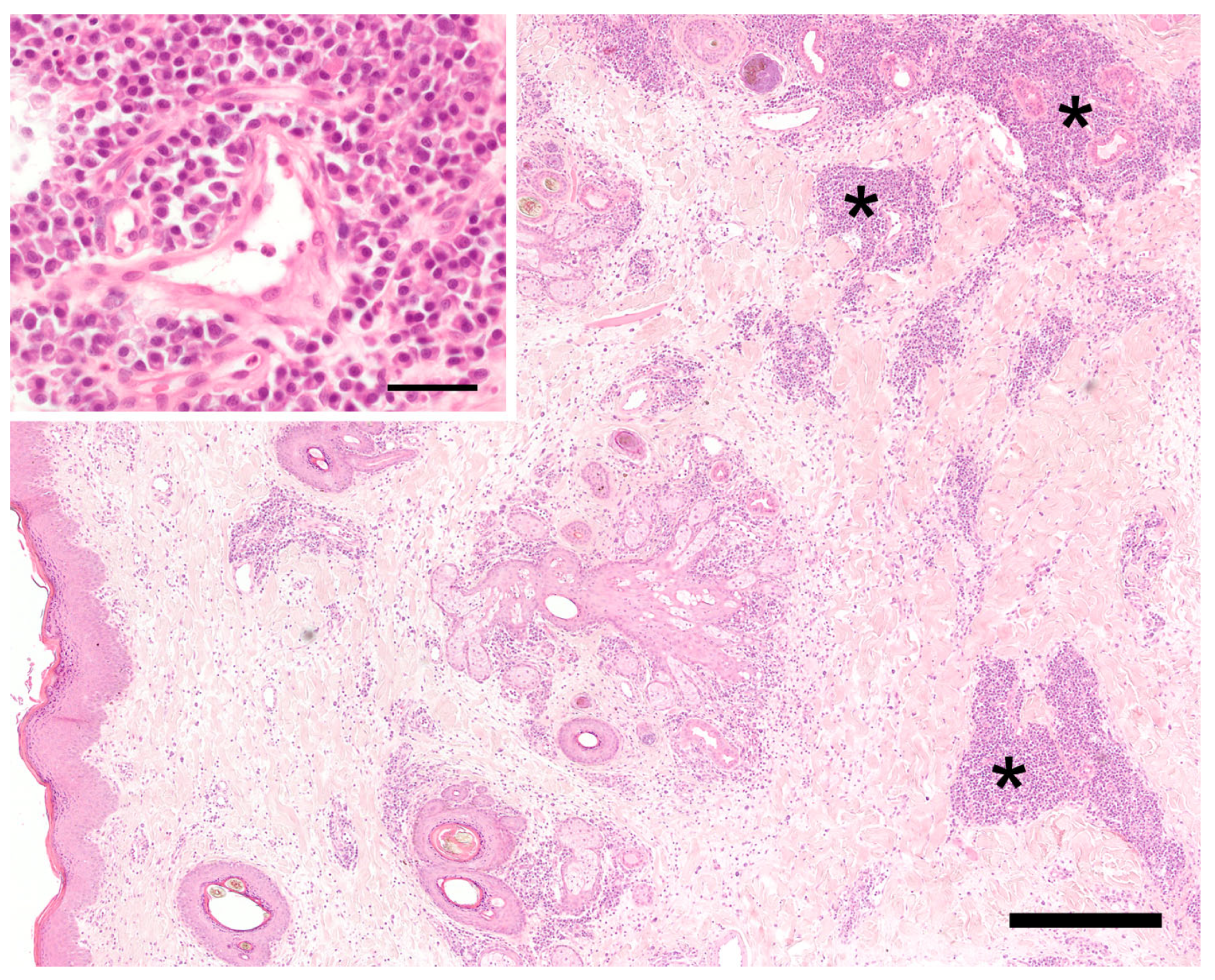 Vetsci 10 00409 g002