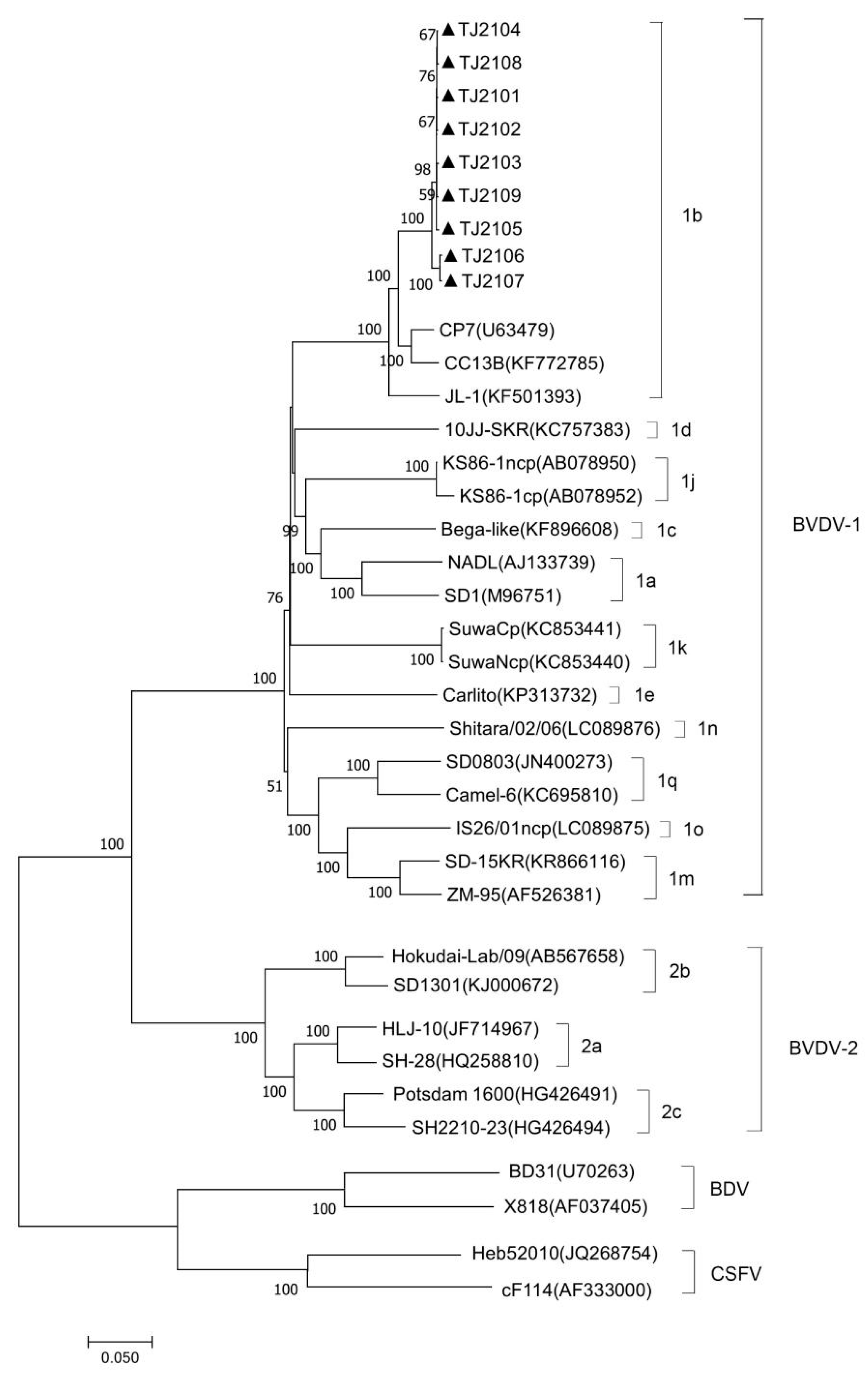 Vetsci 10 00413 g003 Vetsci 10 00413 g003