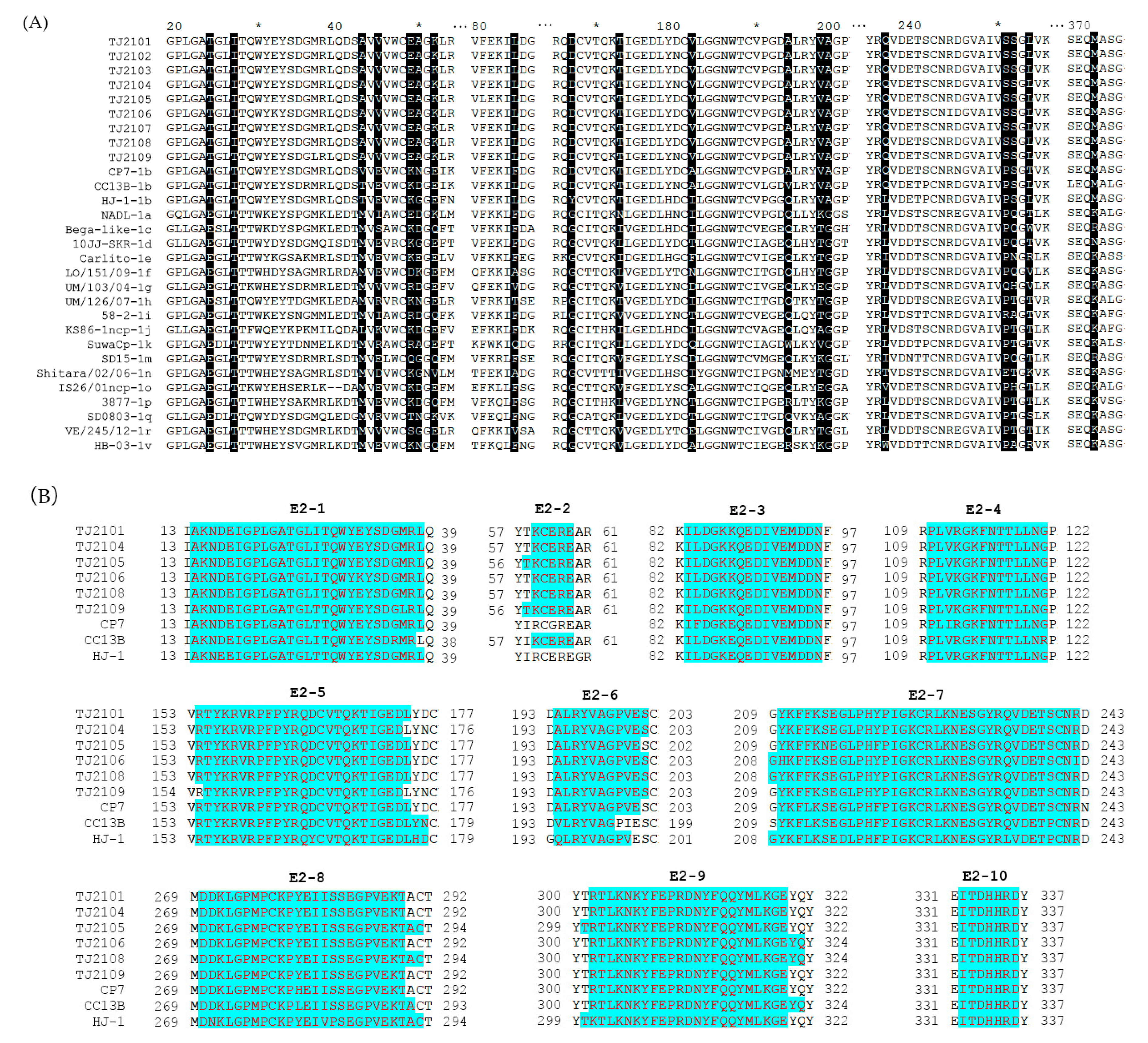 Vetsci 10 00413 g005a Vetsci 10 00413 g005a