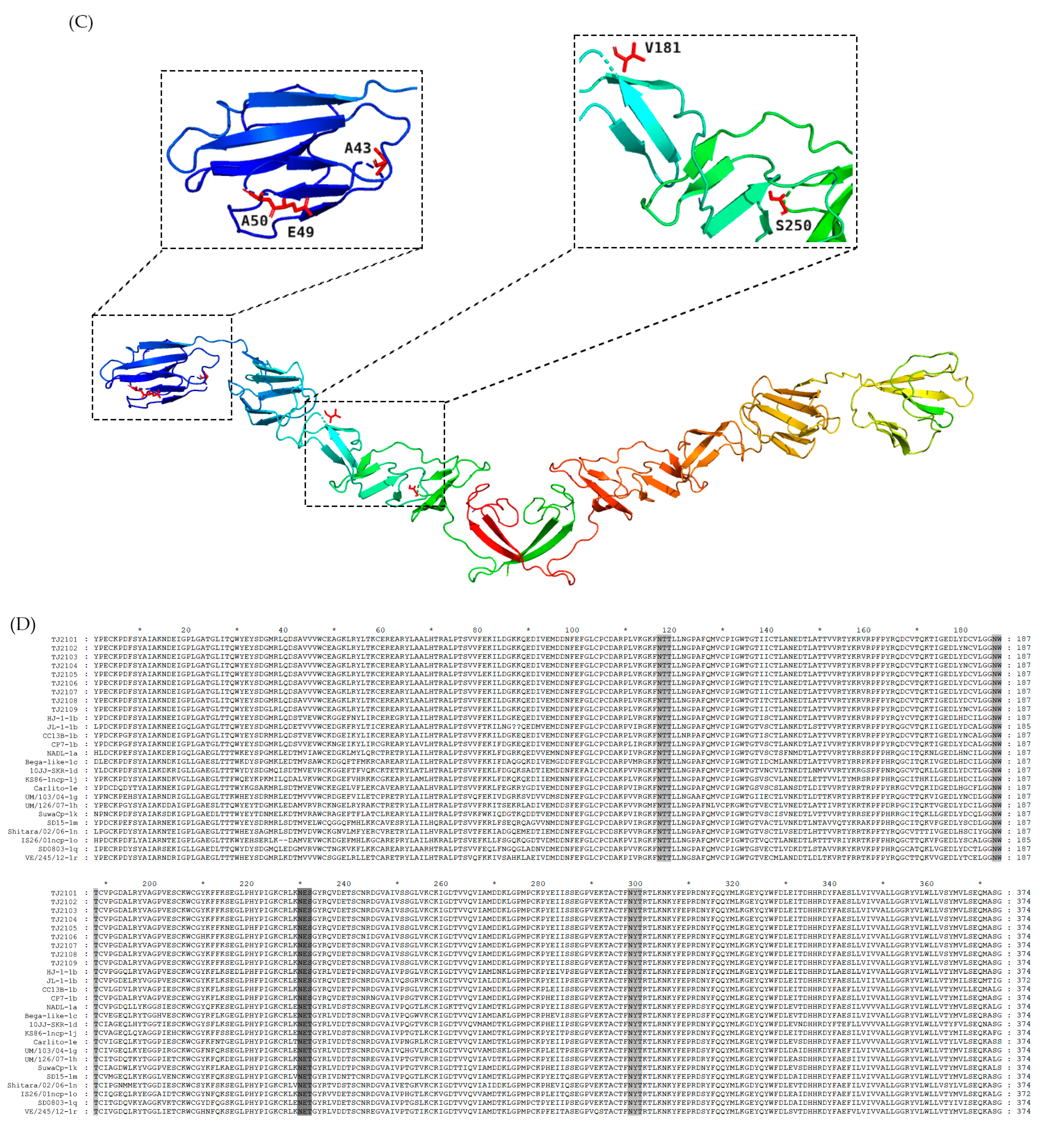 Vetsci 10 00413 g005b Vetsci 10 00413 g005b