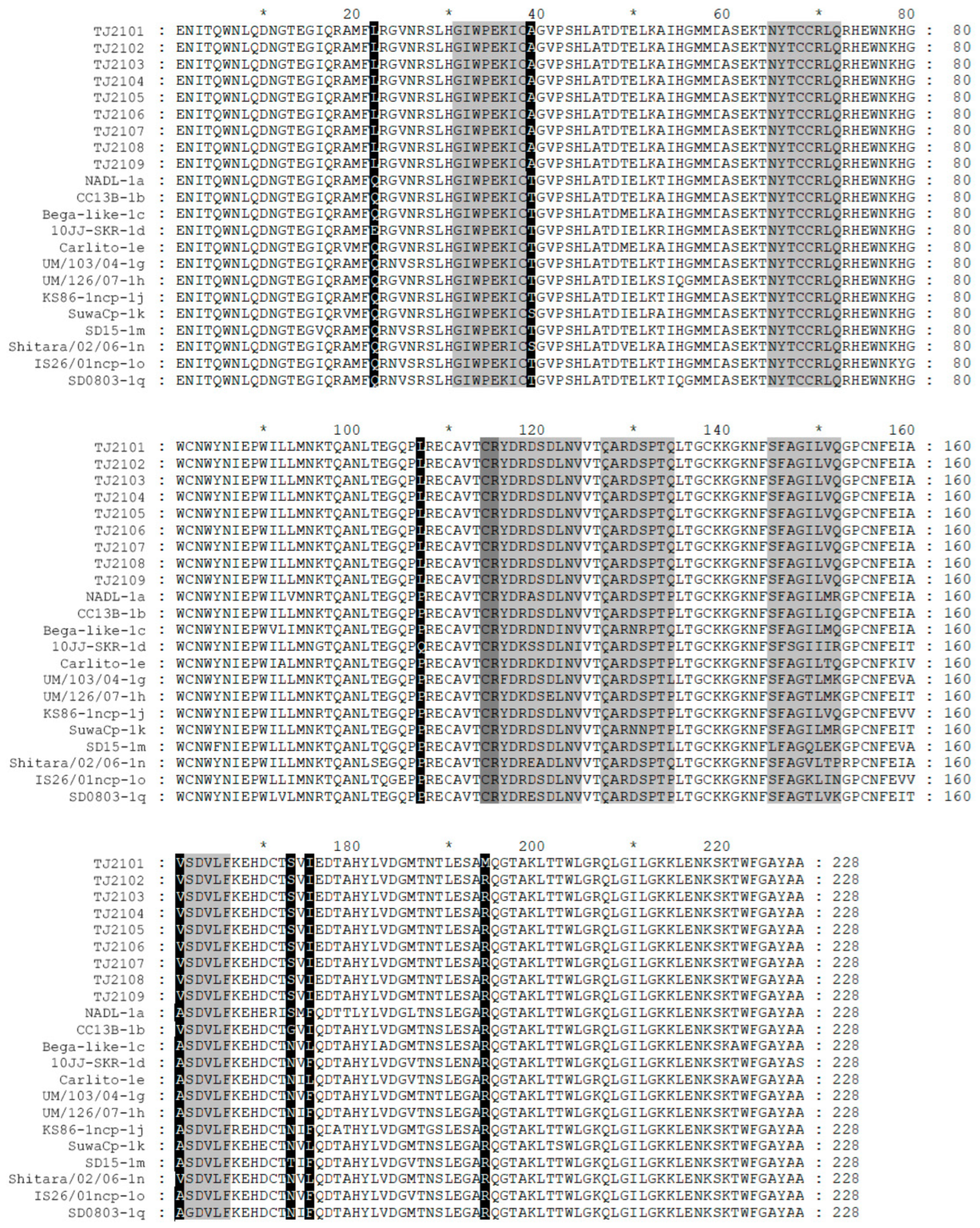 Vetsci 10 00413 g006 Vetsci 10 00413 g006