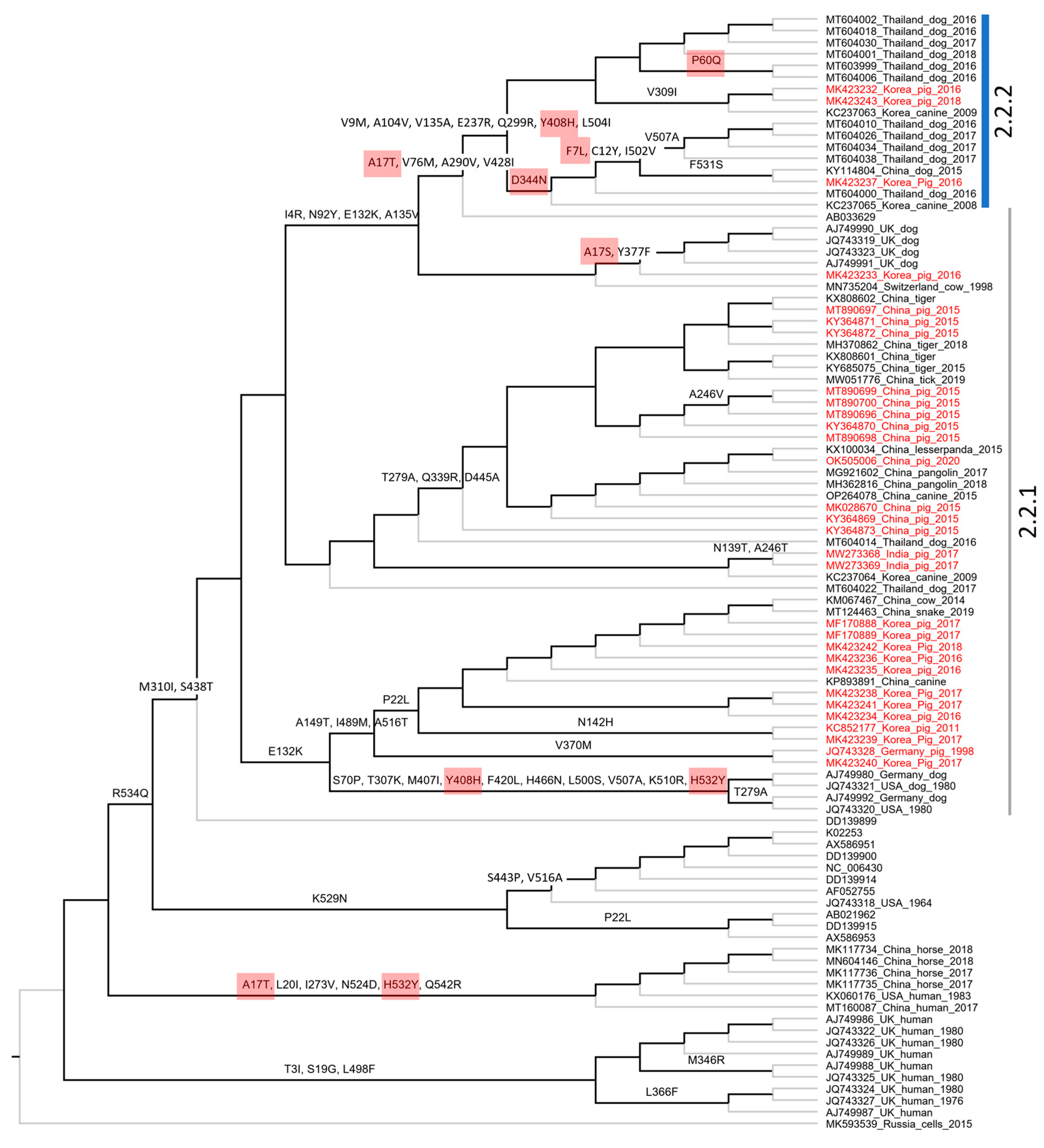 Vetsci 10 00414 g006 Vetsci 10 00414 g006