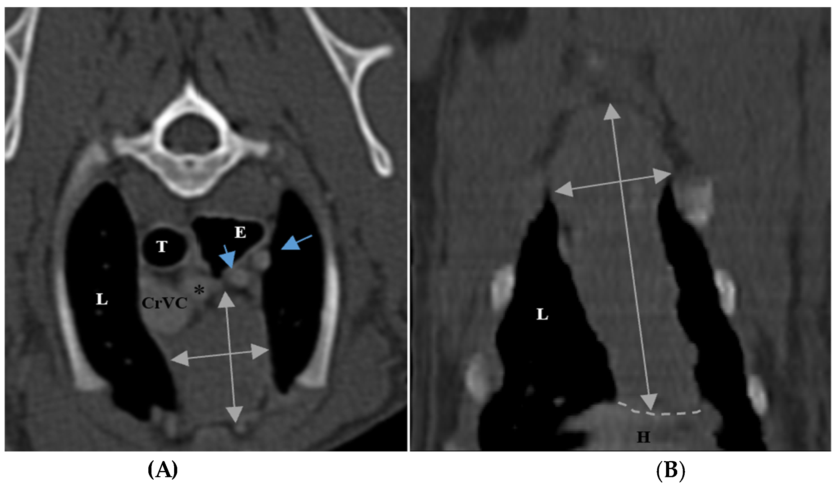 Vetsci 10 00418 g002