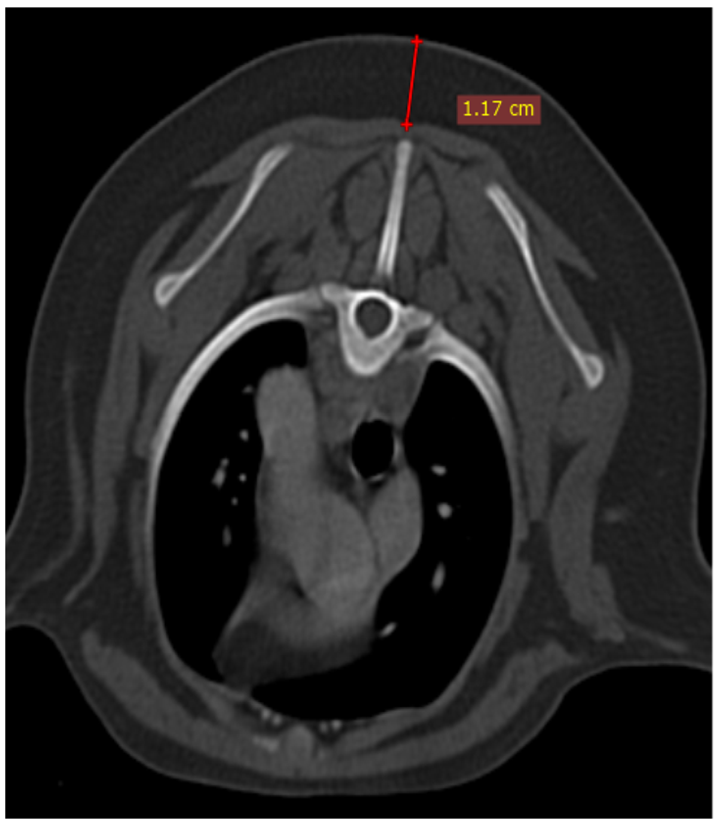 Vetsci 10 00418 g003
