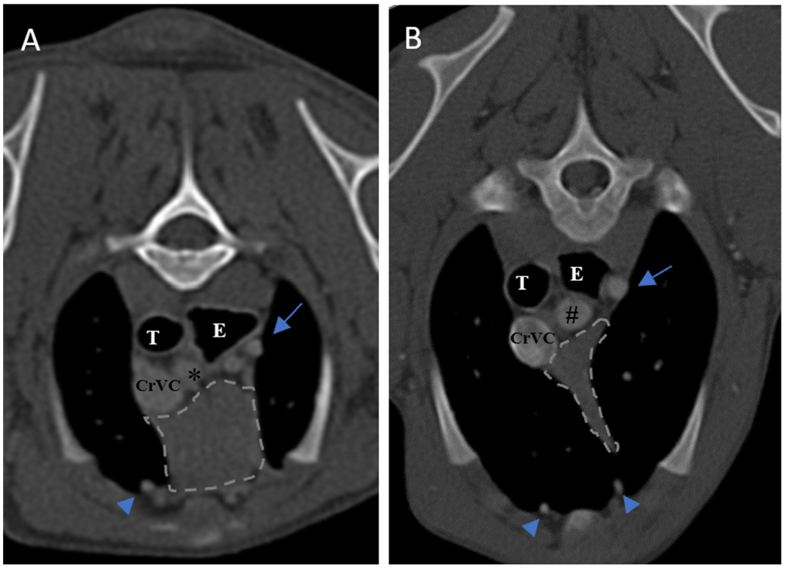 Vetsci 10 00418 g004