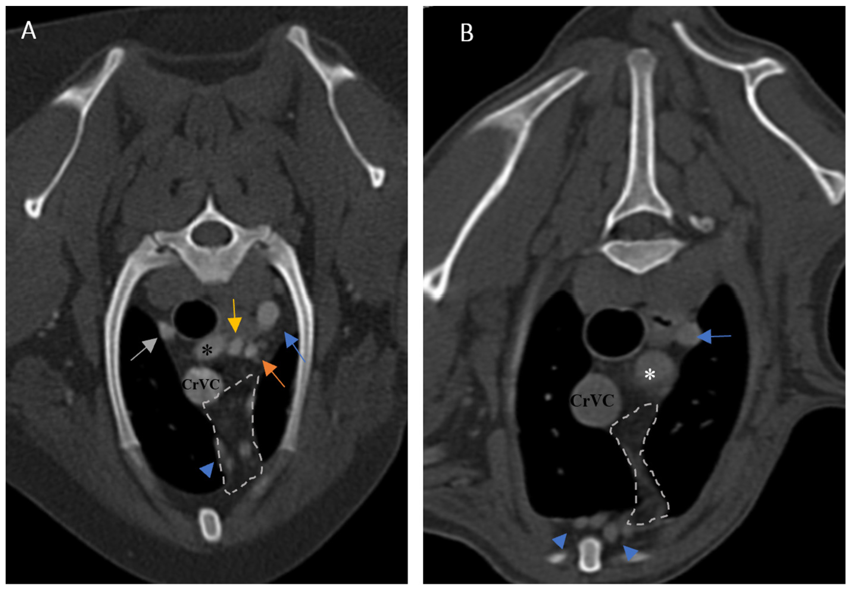 Vetsci 10 00418 g006
