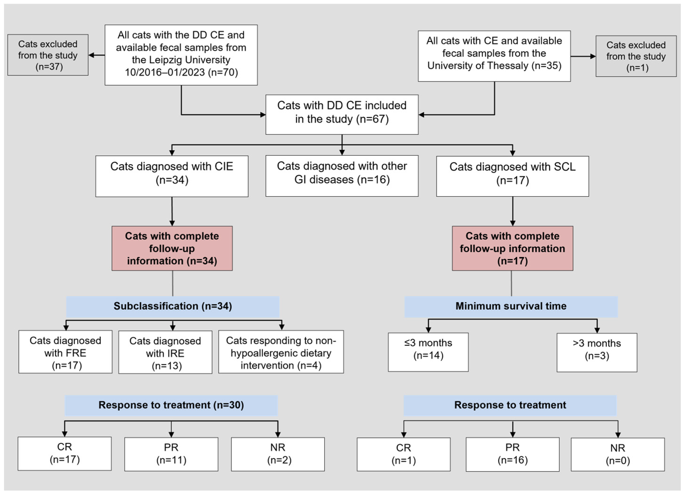 Vetsci 10 00419 g001