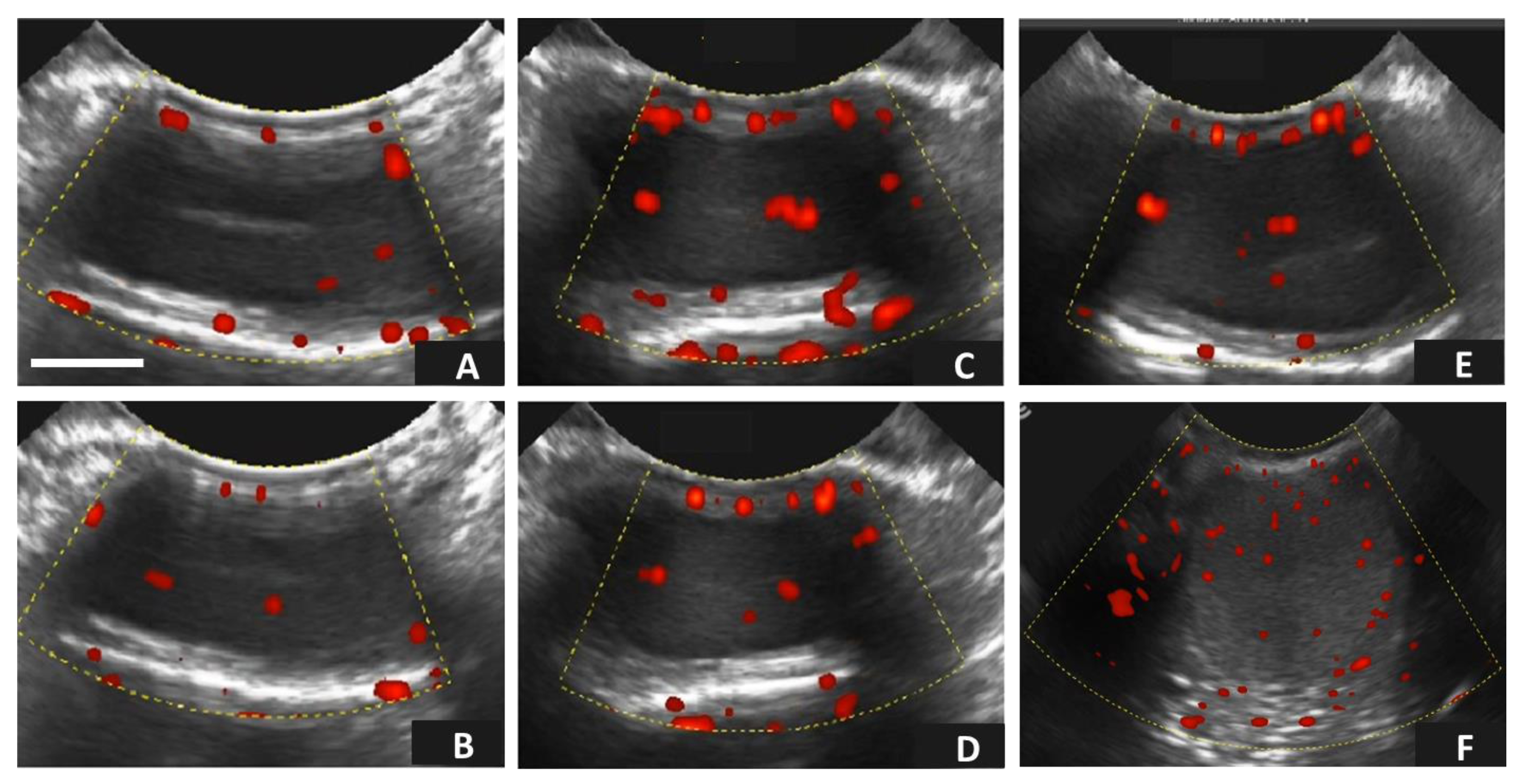 Vetsci 10 00429 g002