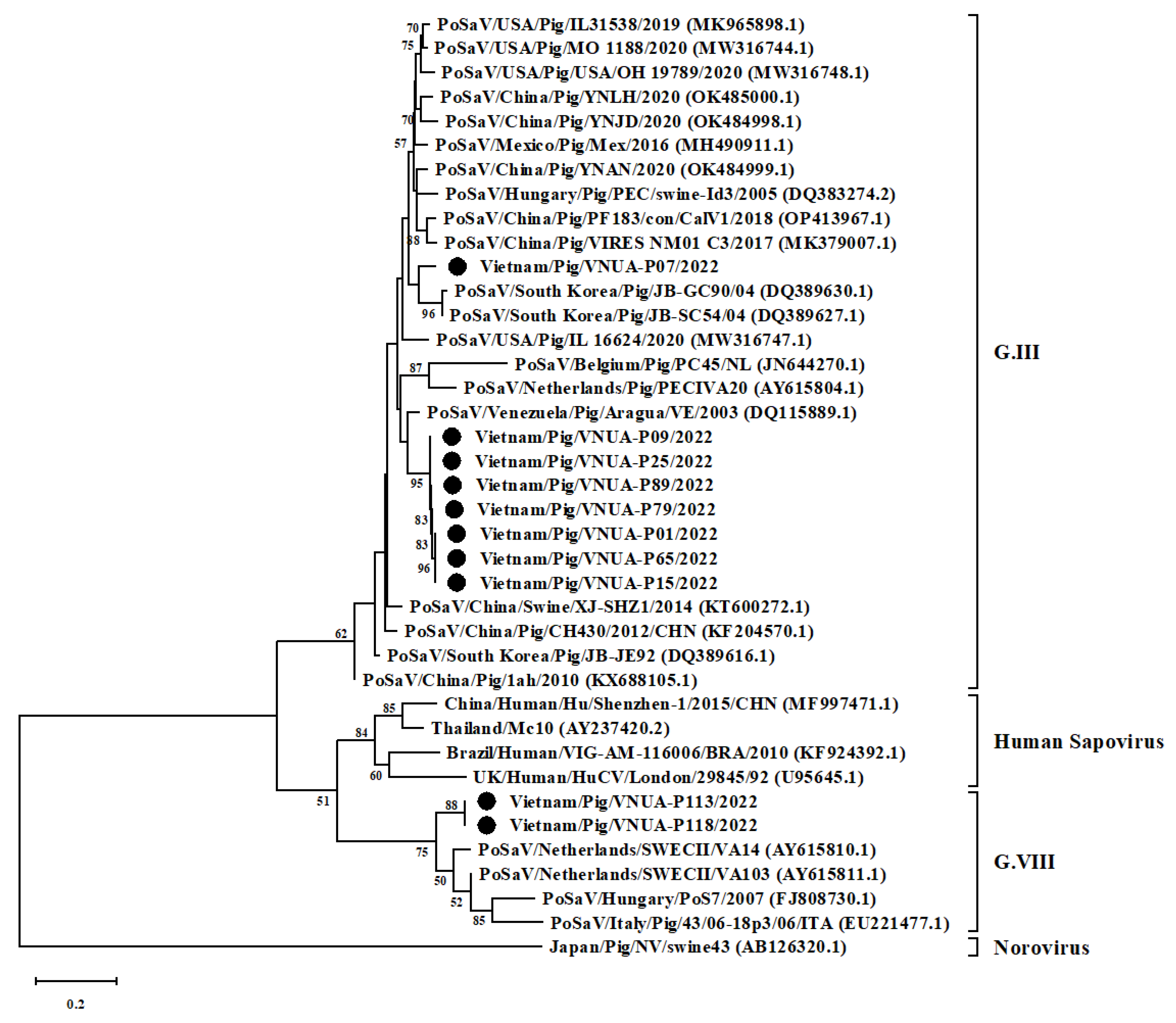Vetsci 10 00430 g002