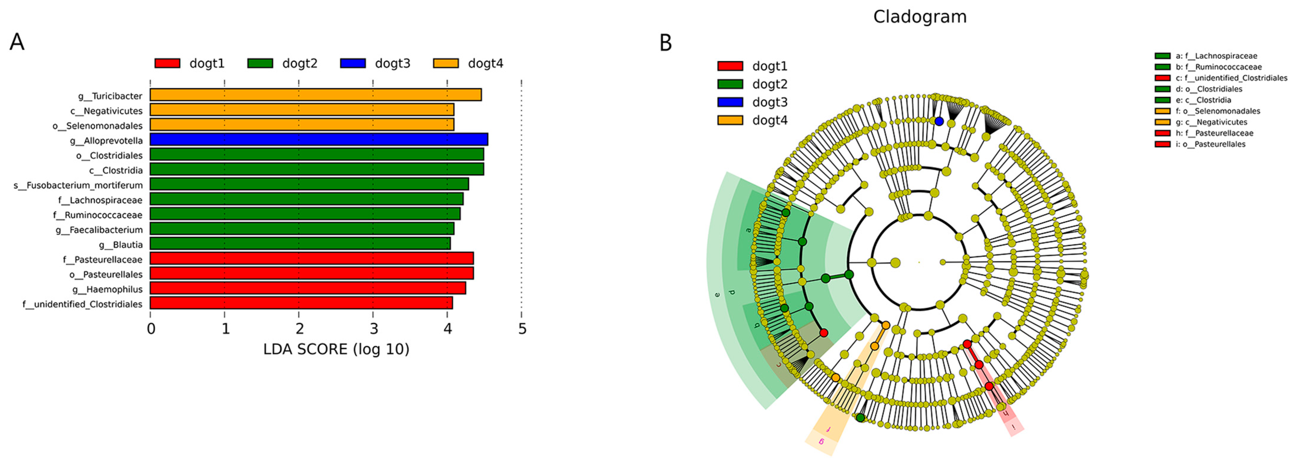 Vetsci 10 00432 g007 Vetsci 10 00432 g007
