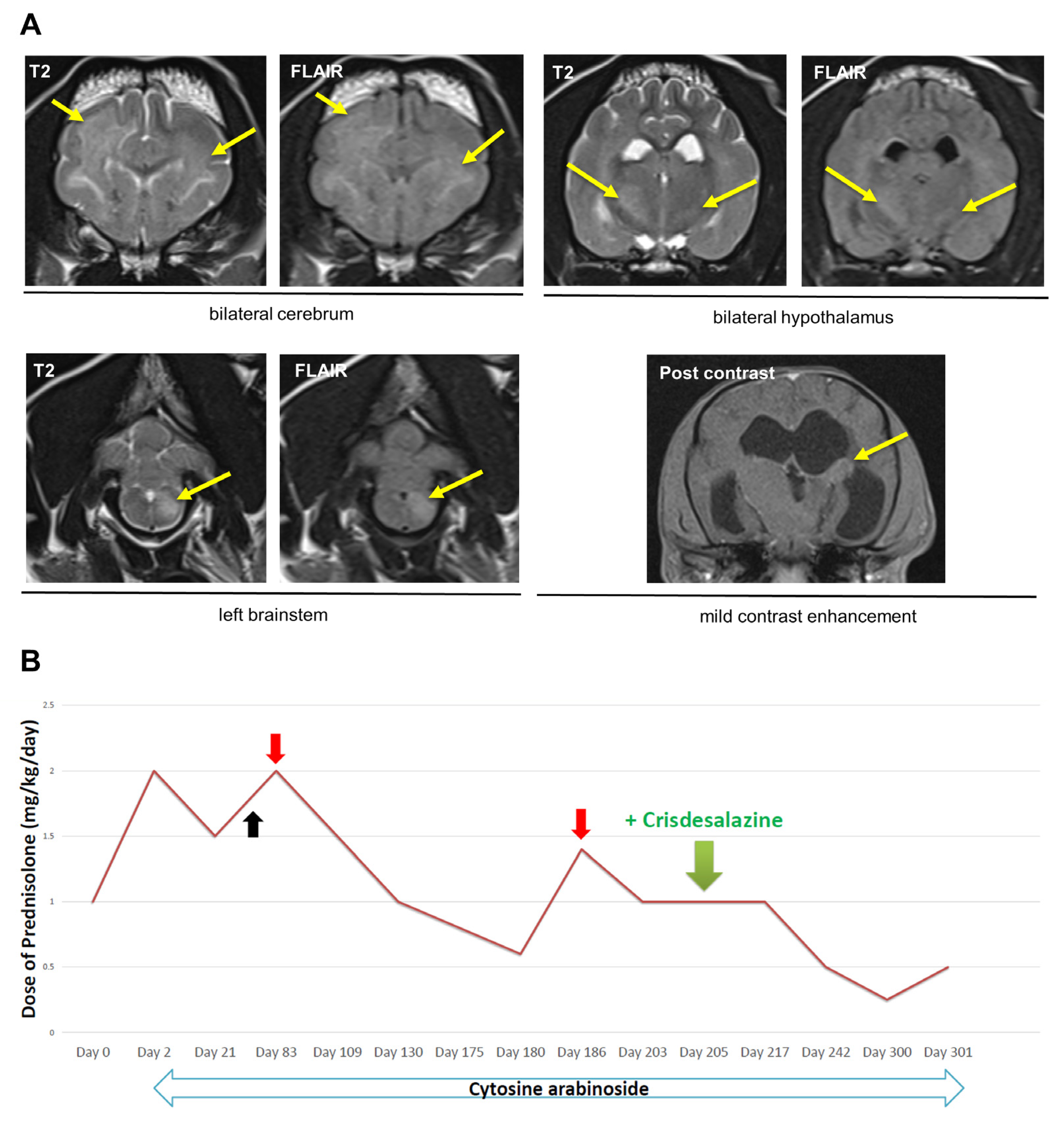 Vetsci 10 00438 g001 Vetsci 10 00438 g001