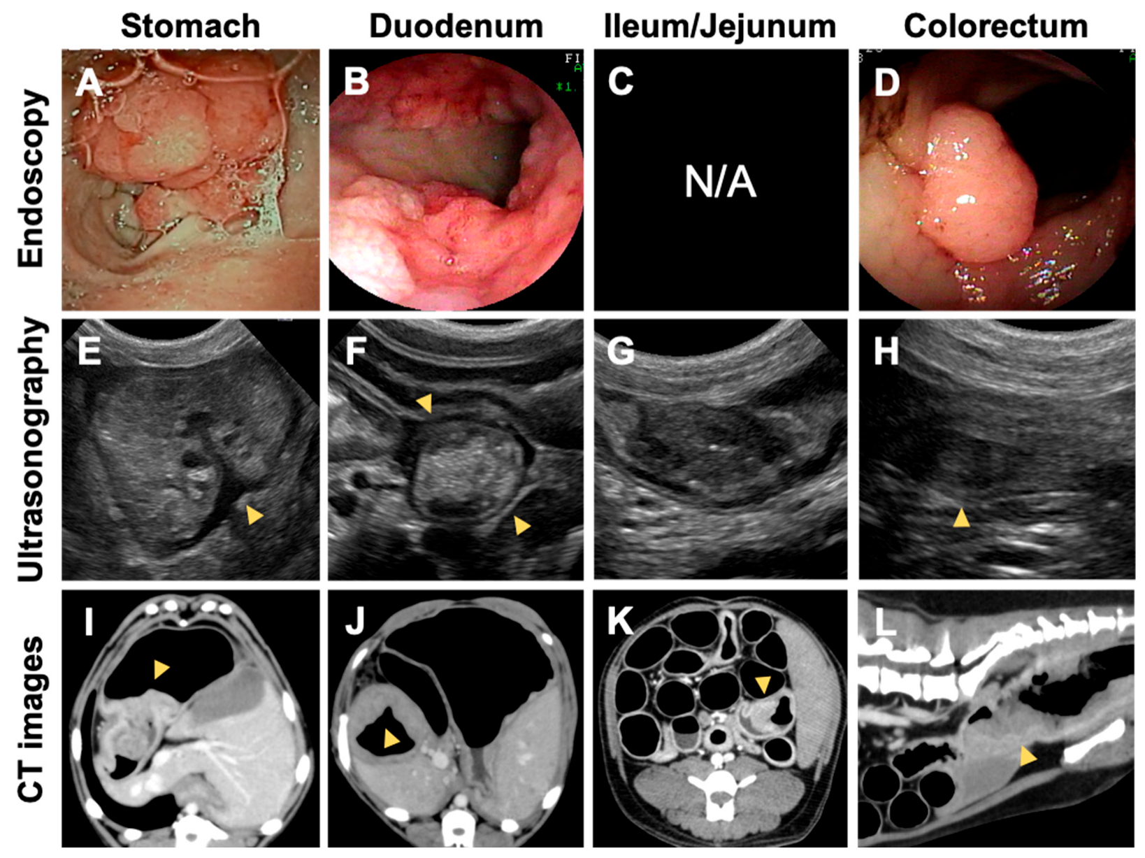 Vetsci 10 00439 g002