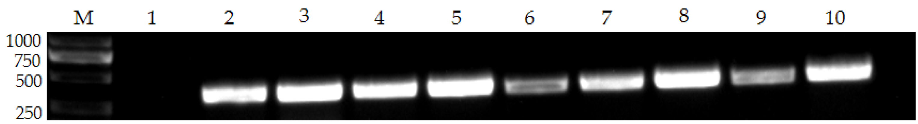 Vetsci 10 00440 g004