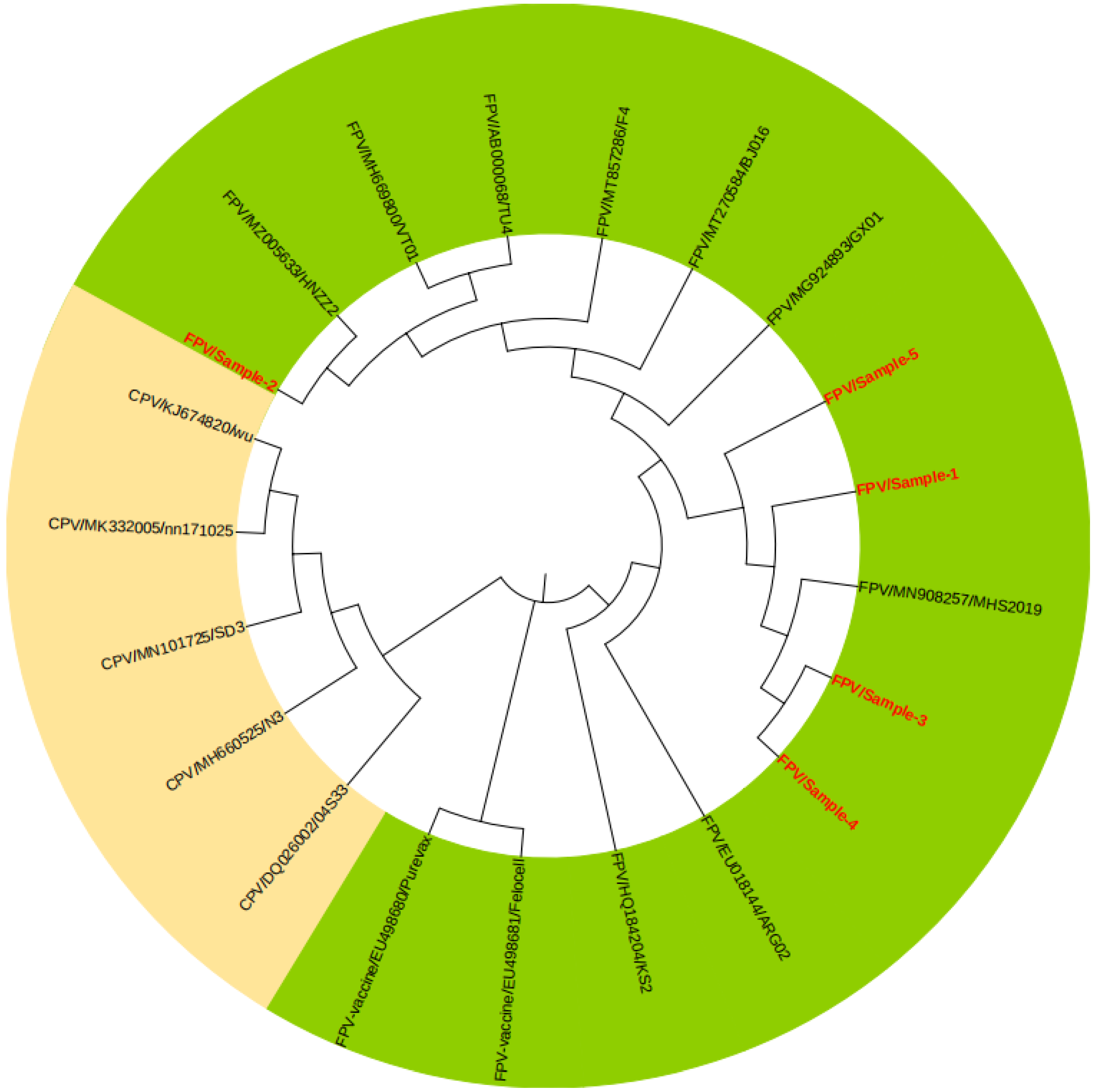 Vetsci 10 00440 g005