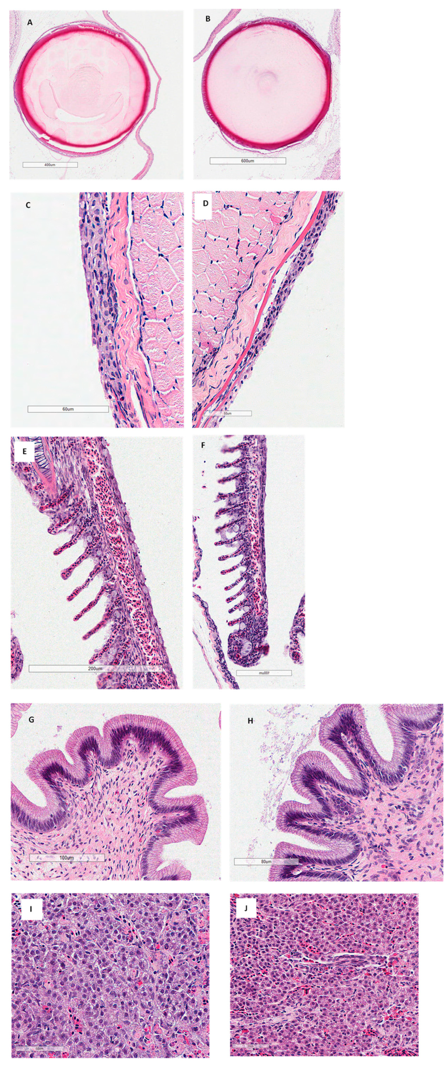 Vetsci 10 00441 g001