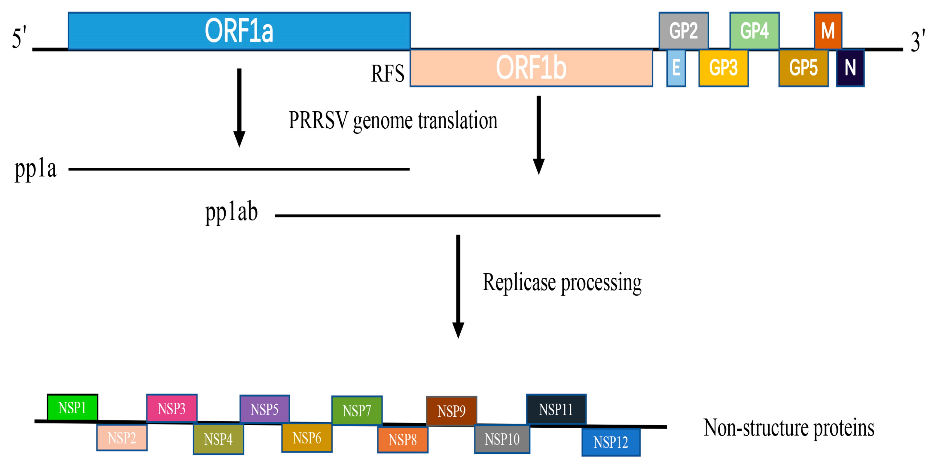 Vetsci 10 00451 g001