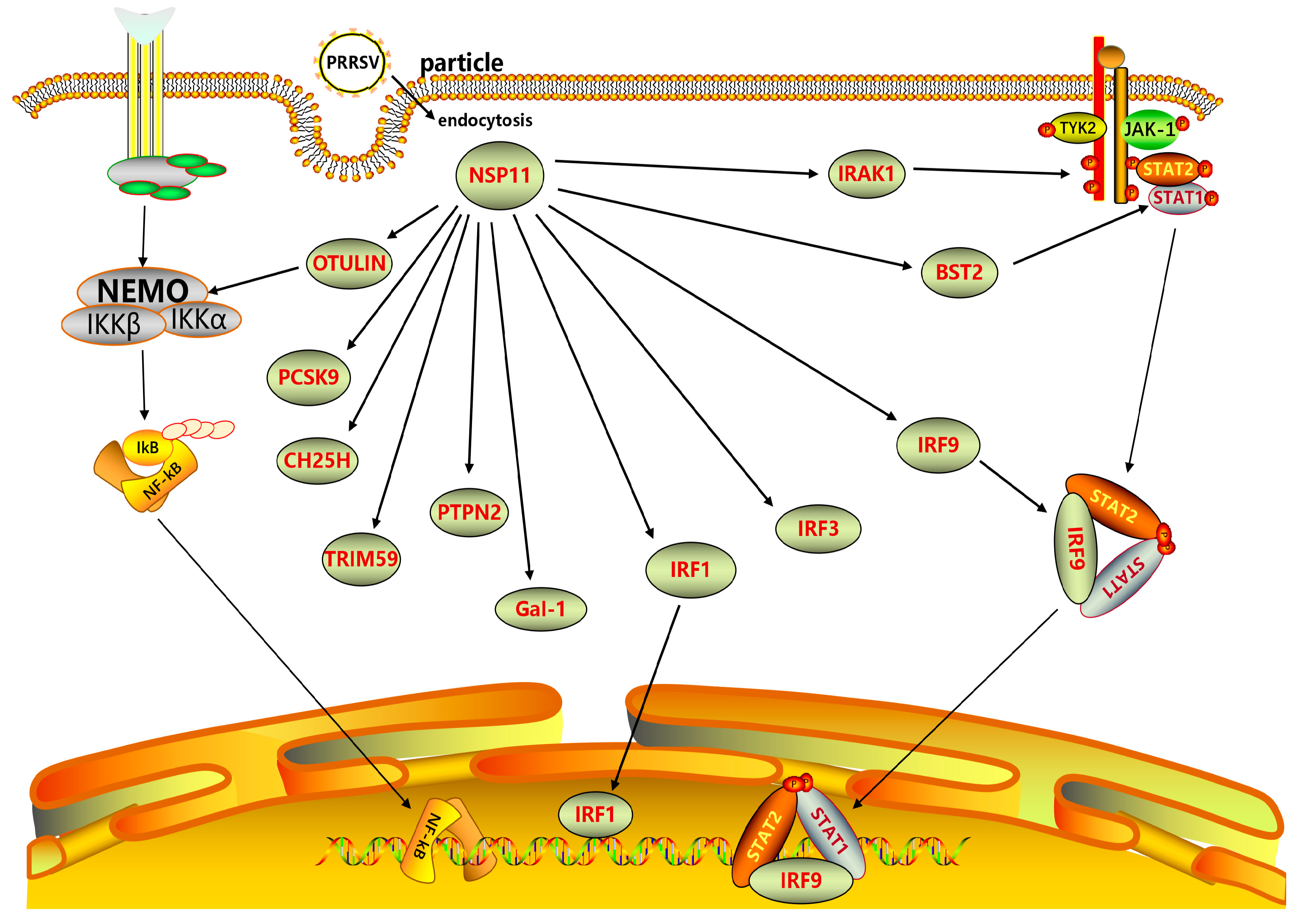 Vetsci 10 00451 g004