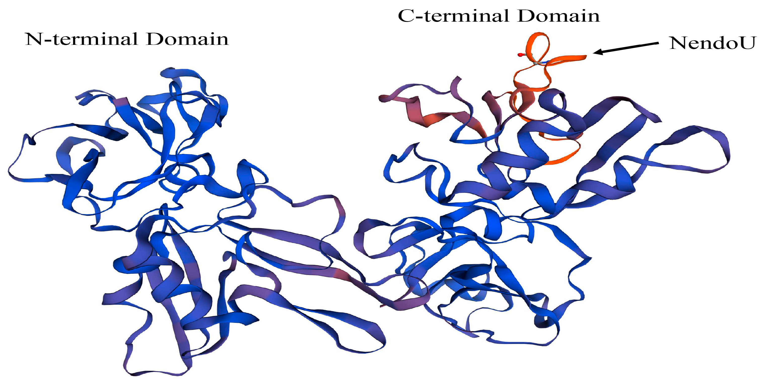 Vetsci 10 00451 g005