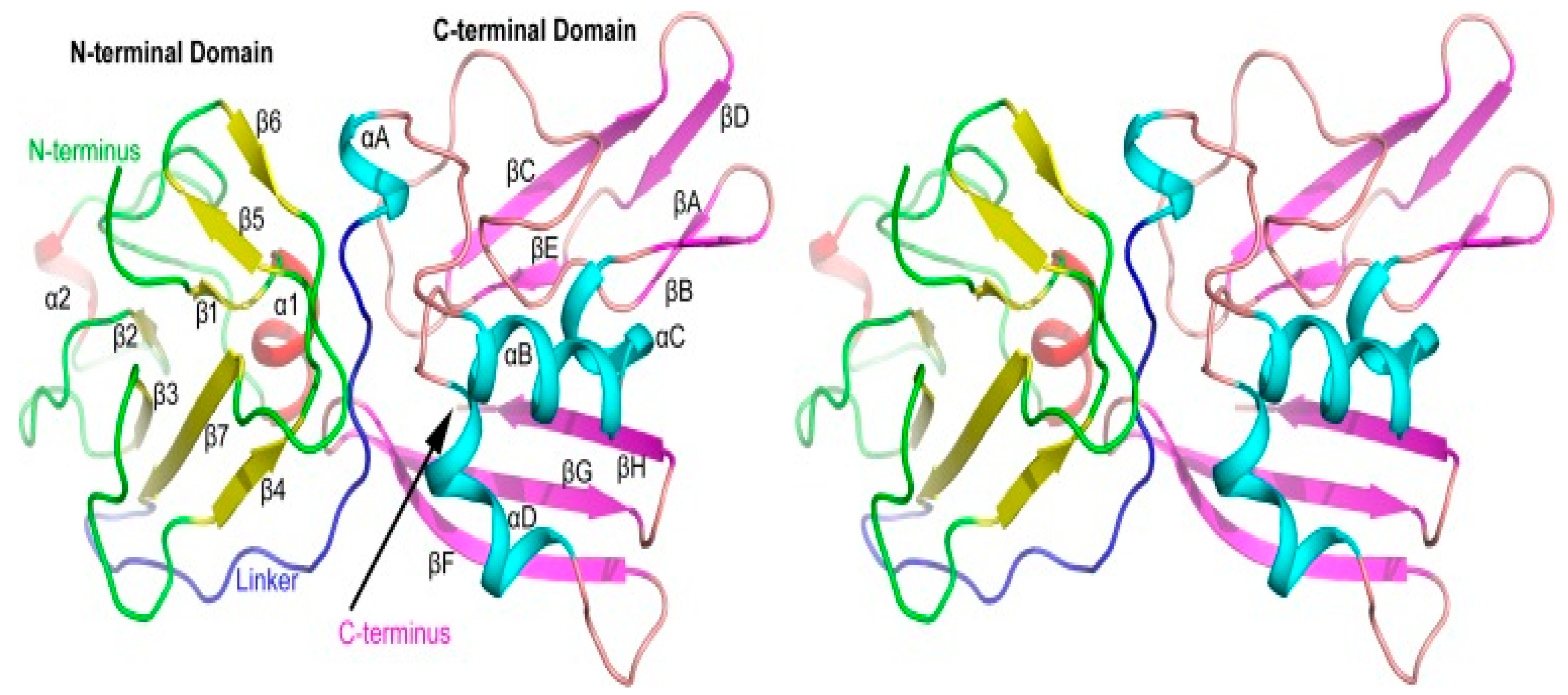 Vetsci 10 00451 g006