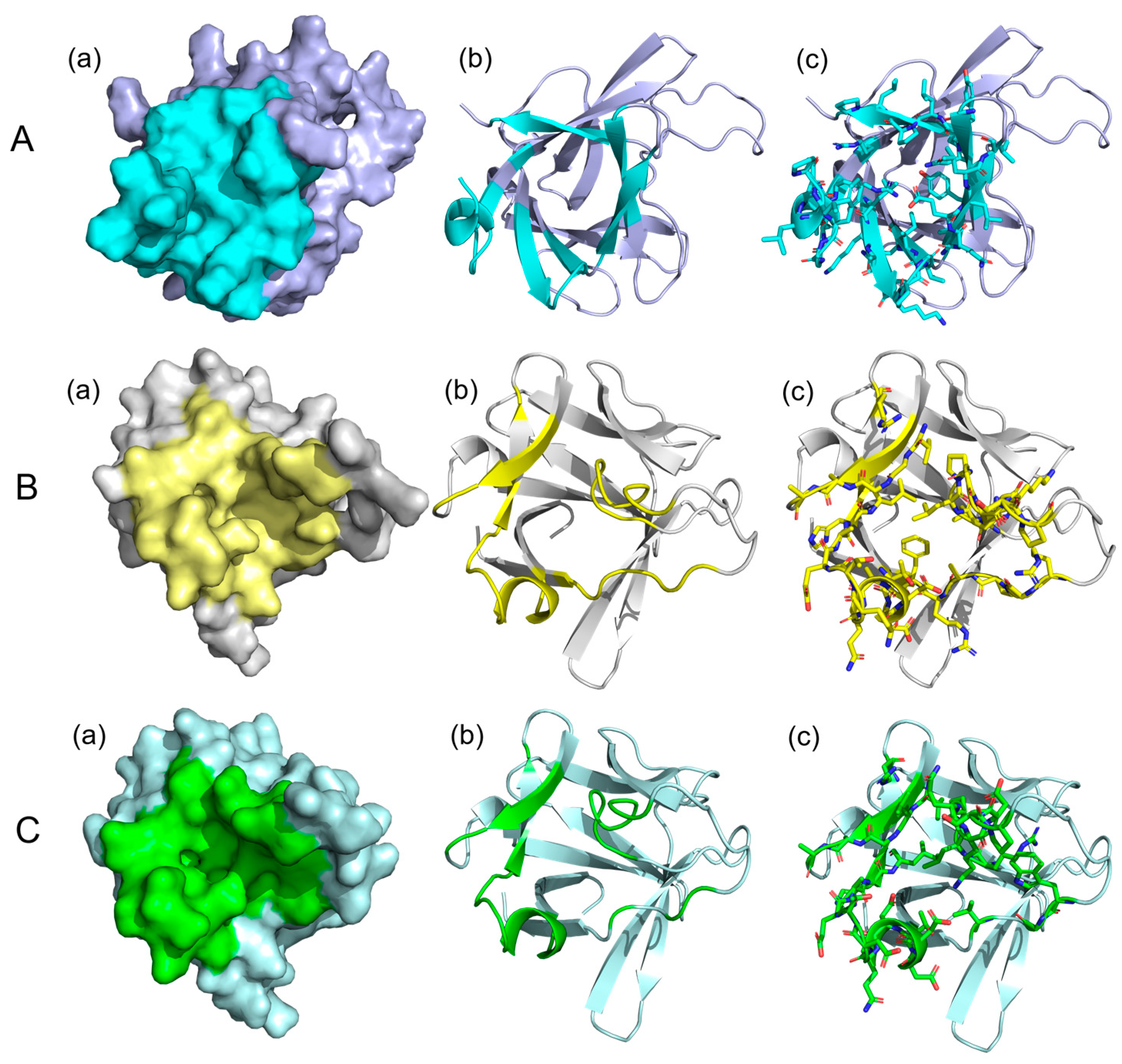 Vetsci 10 00452 g005 Vetsci 10 00452 g005