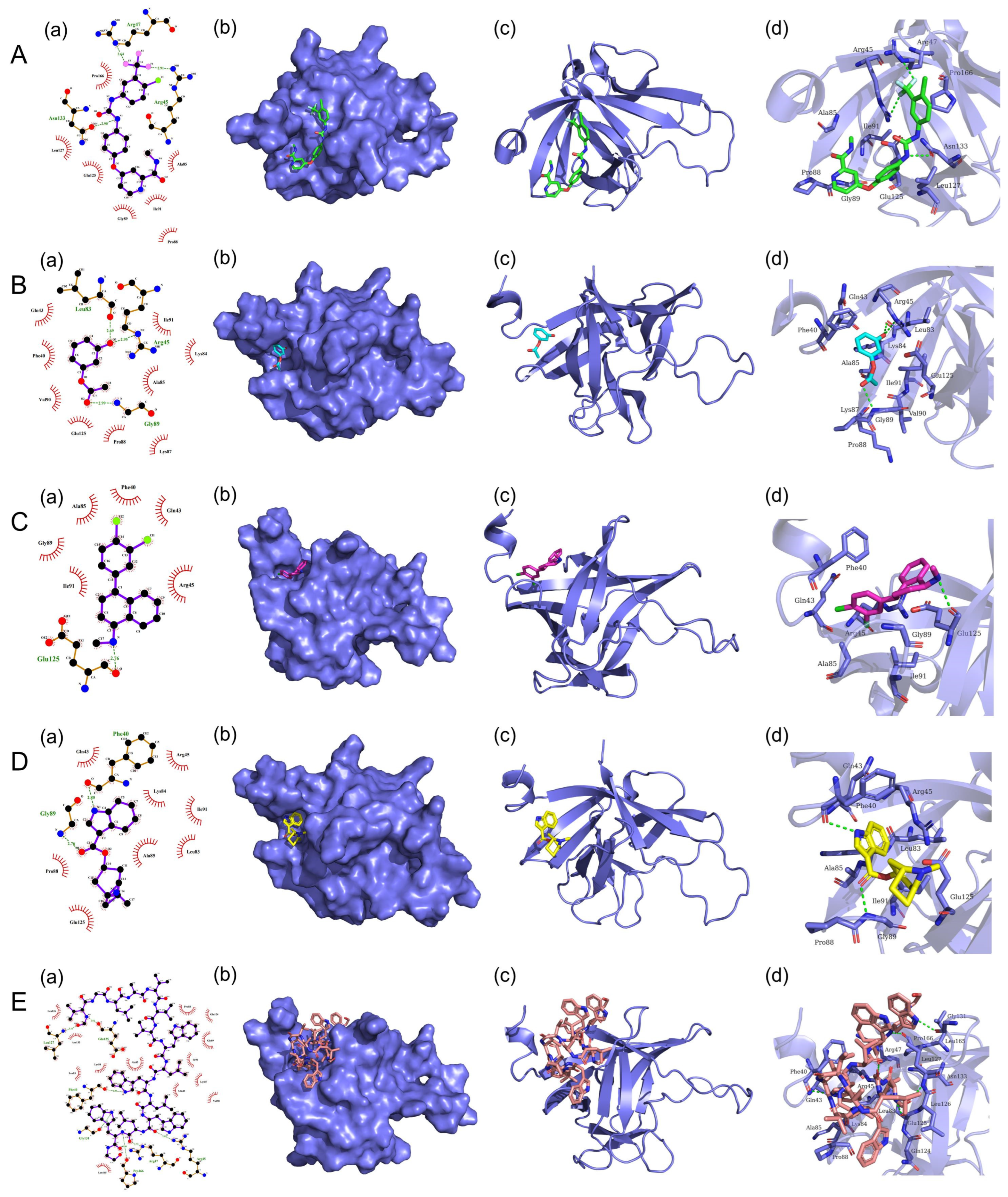 Vetsci 10 00452 g006 Vetsci 10 00452 g006