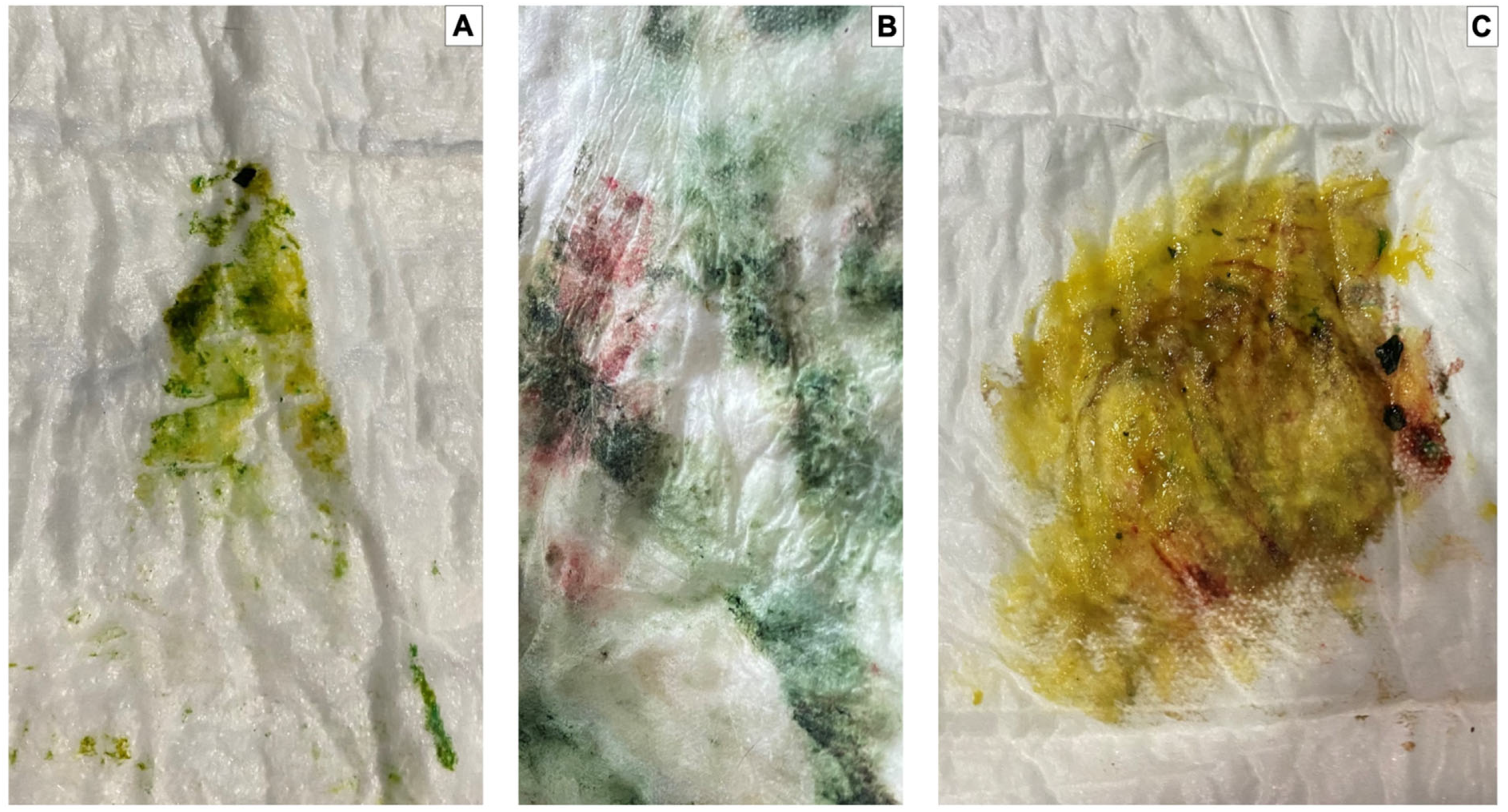 Vetsci 10 00453 g003