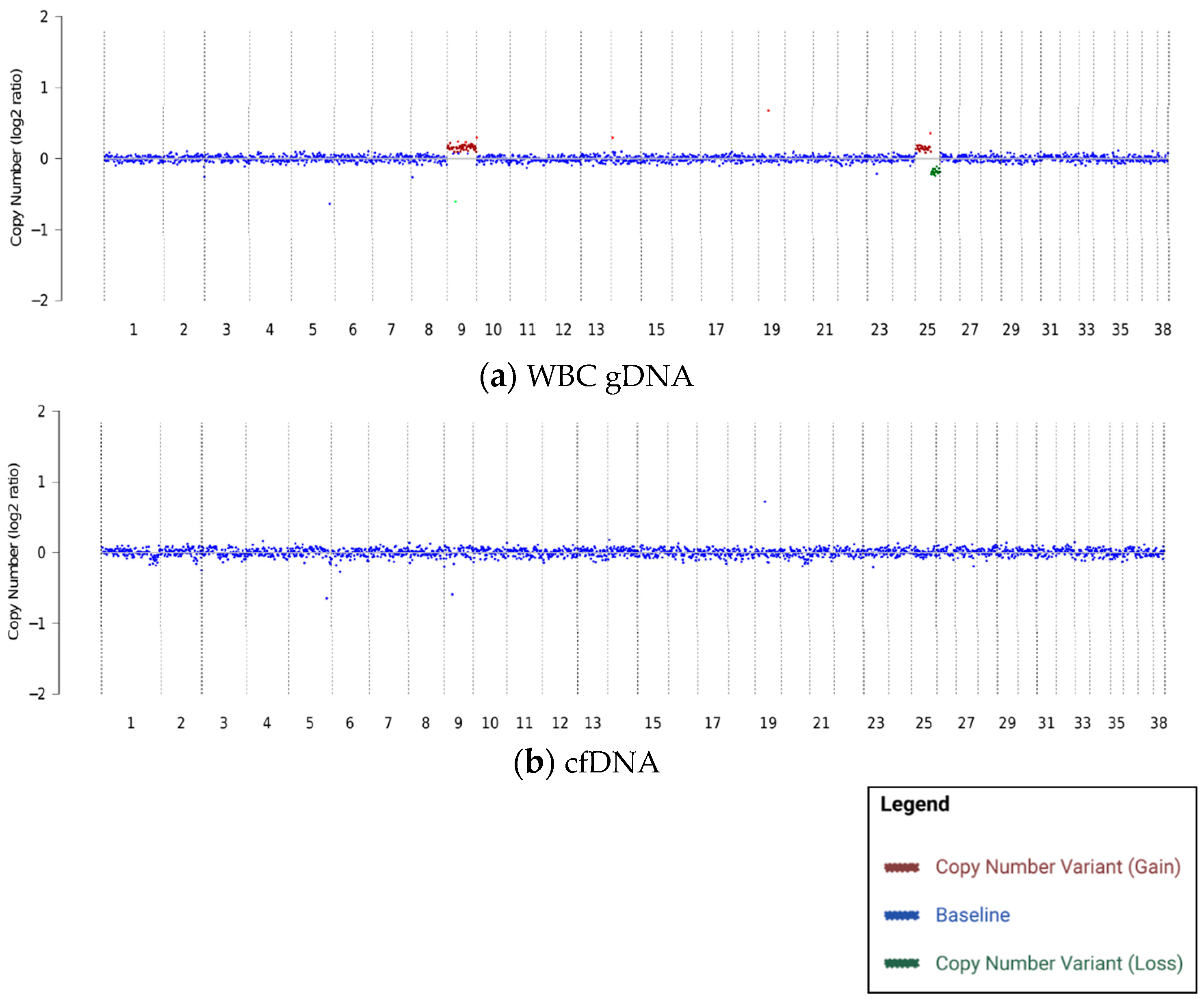 Vetsci 10 00455 g001