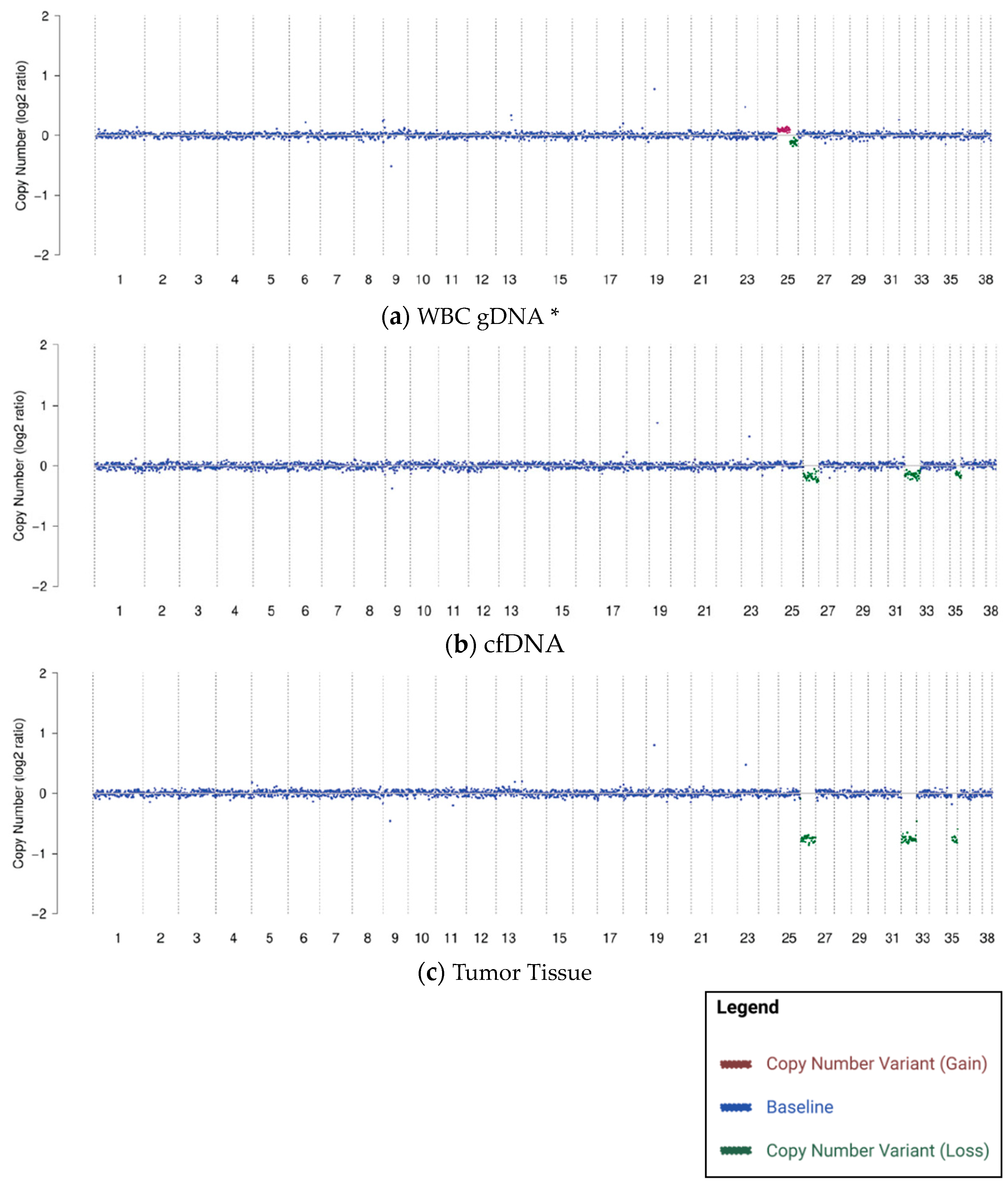 Vetsci 10 00455 g002