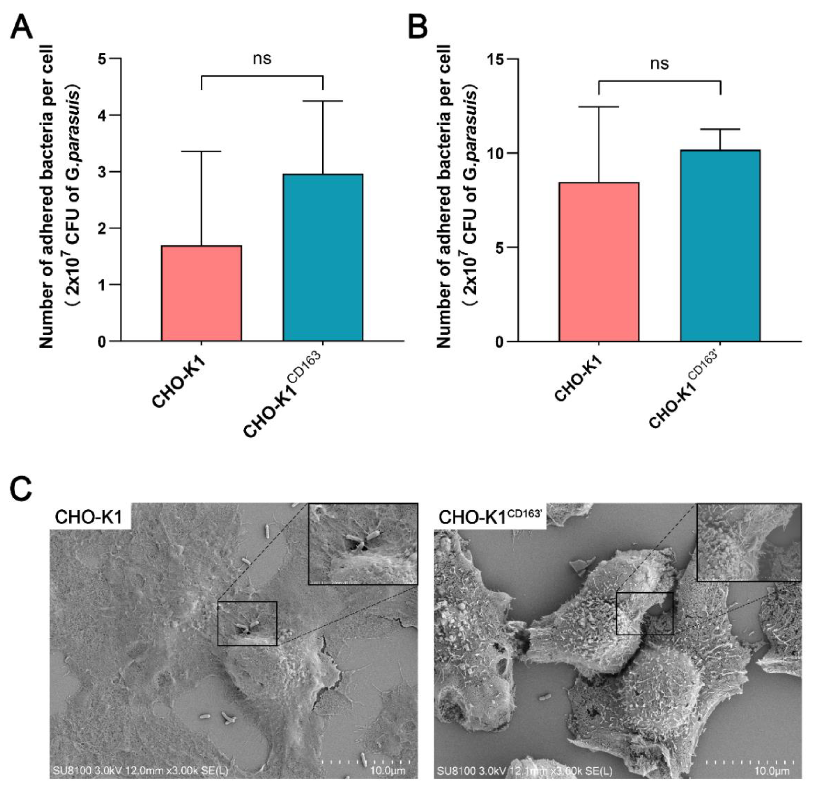 Vetsci 10 00458 g001 550