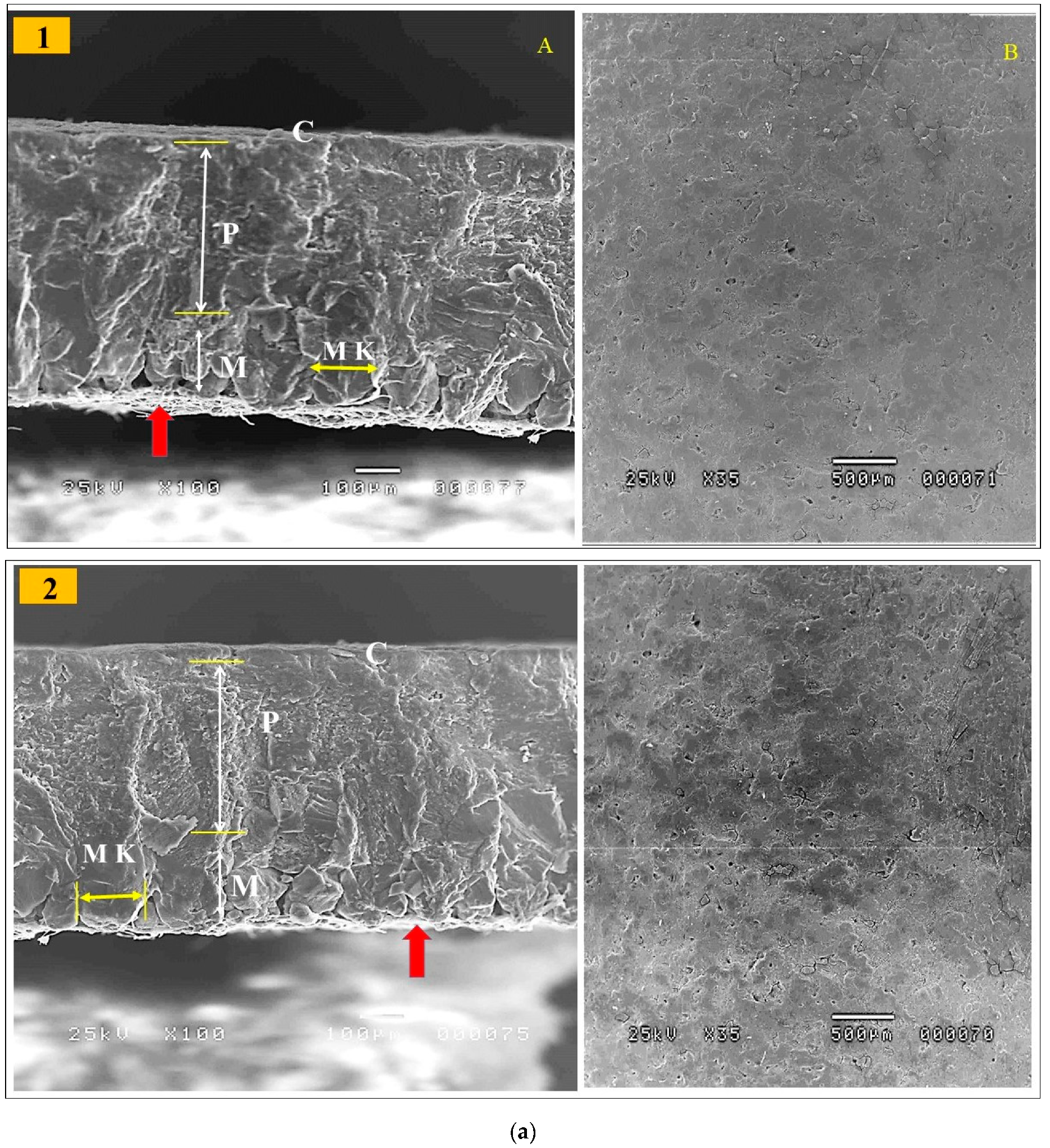 Vetsci 10 00461 g001a