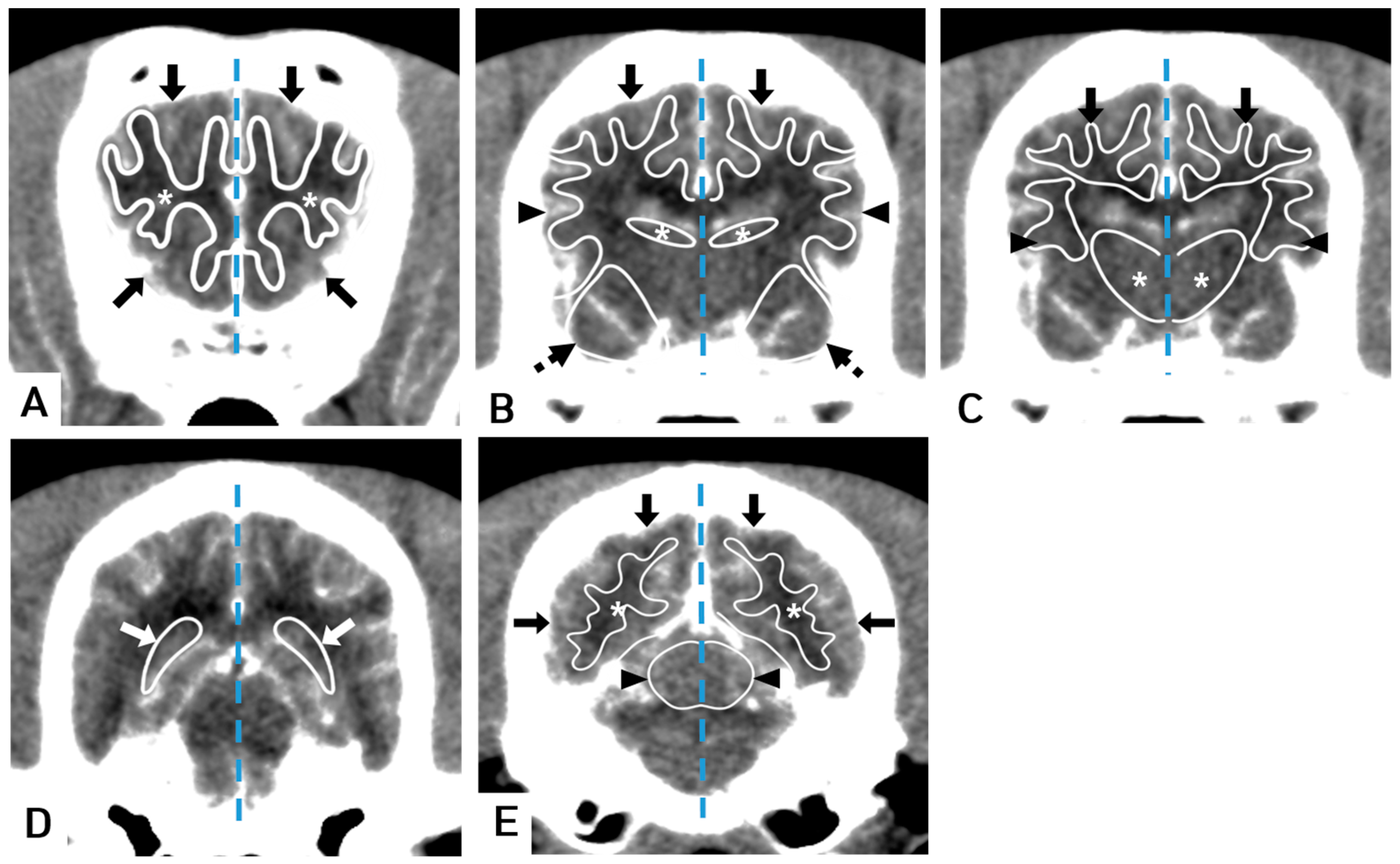 Vetsci 10 00469 g002 Vetsci 10 00469 g002