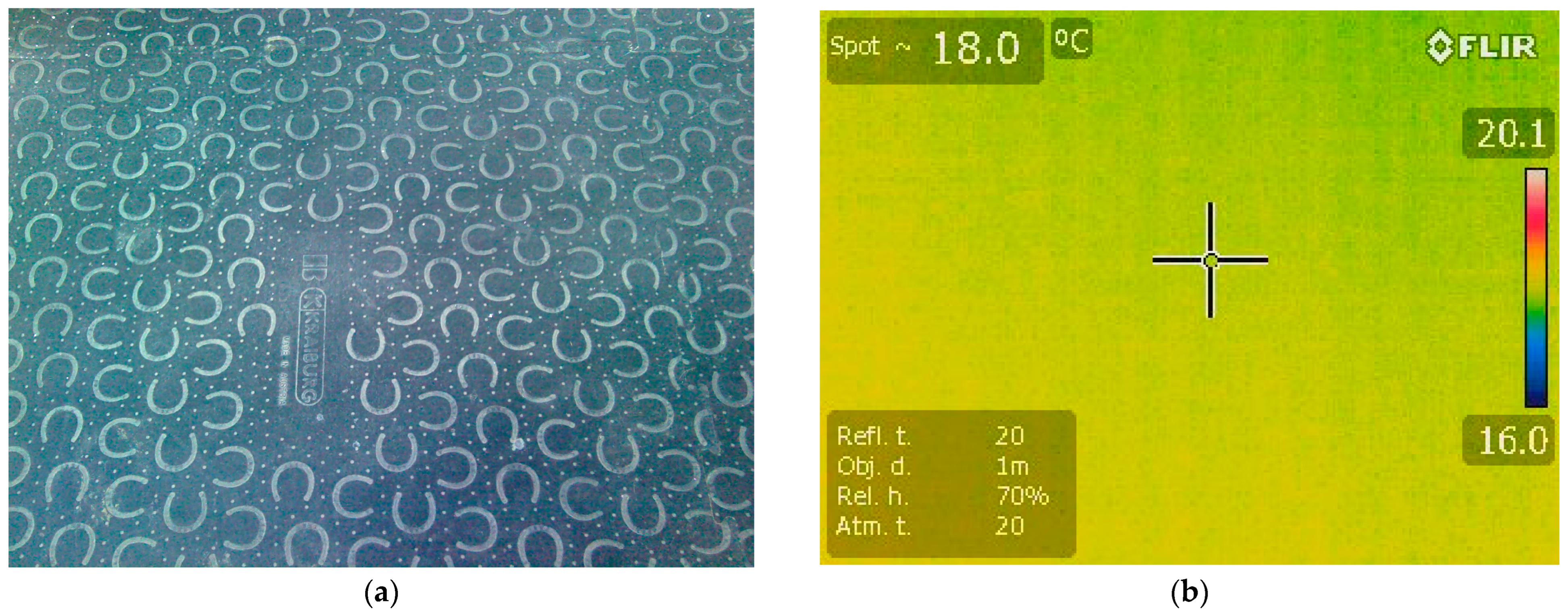 Vetsci 10 00470 g001