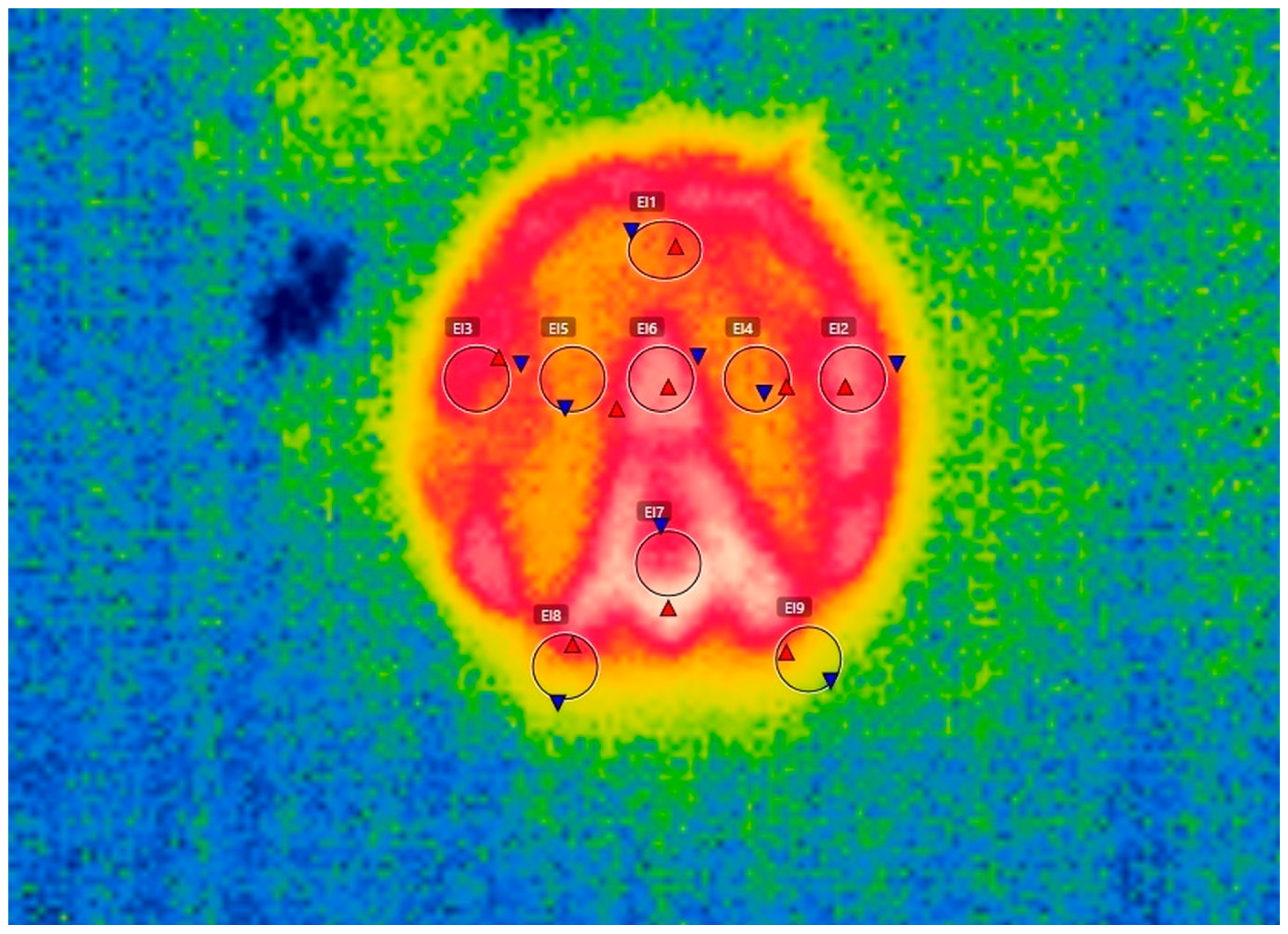 Vetsci 10 00470 g002