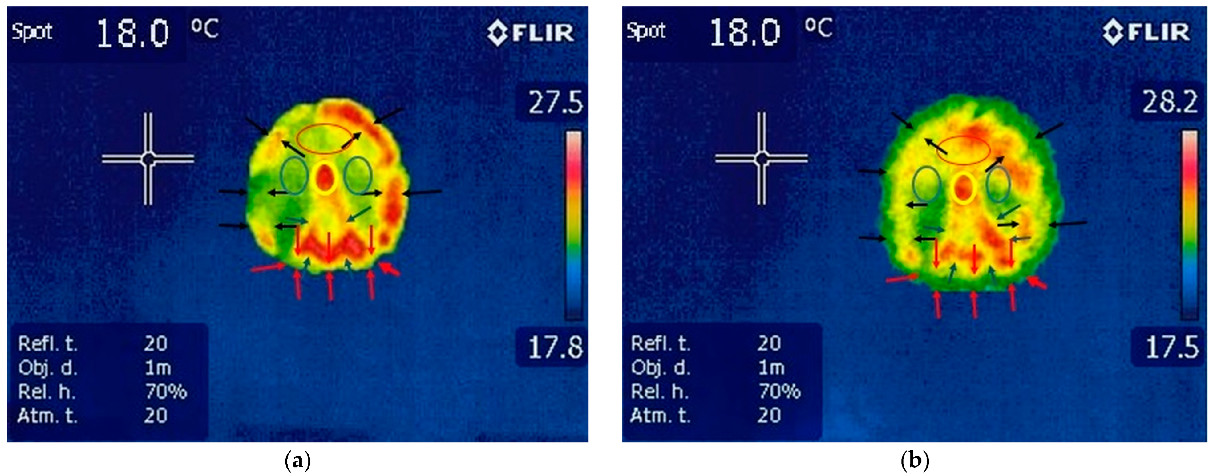 Vetsci 10 00470 g004