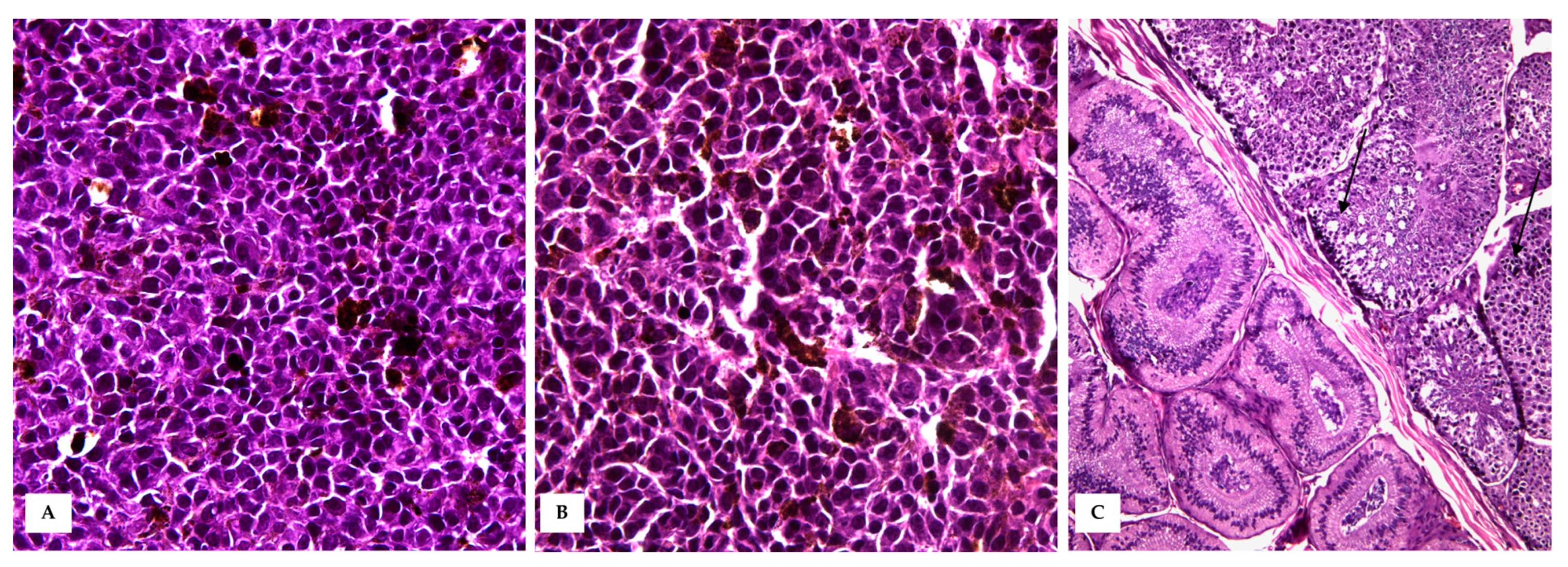 Vetsci 10 00471 g005