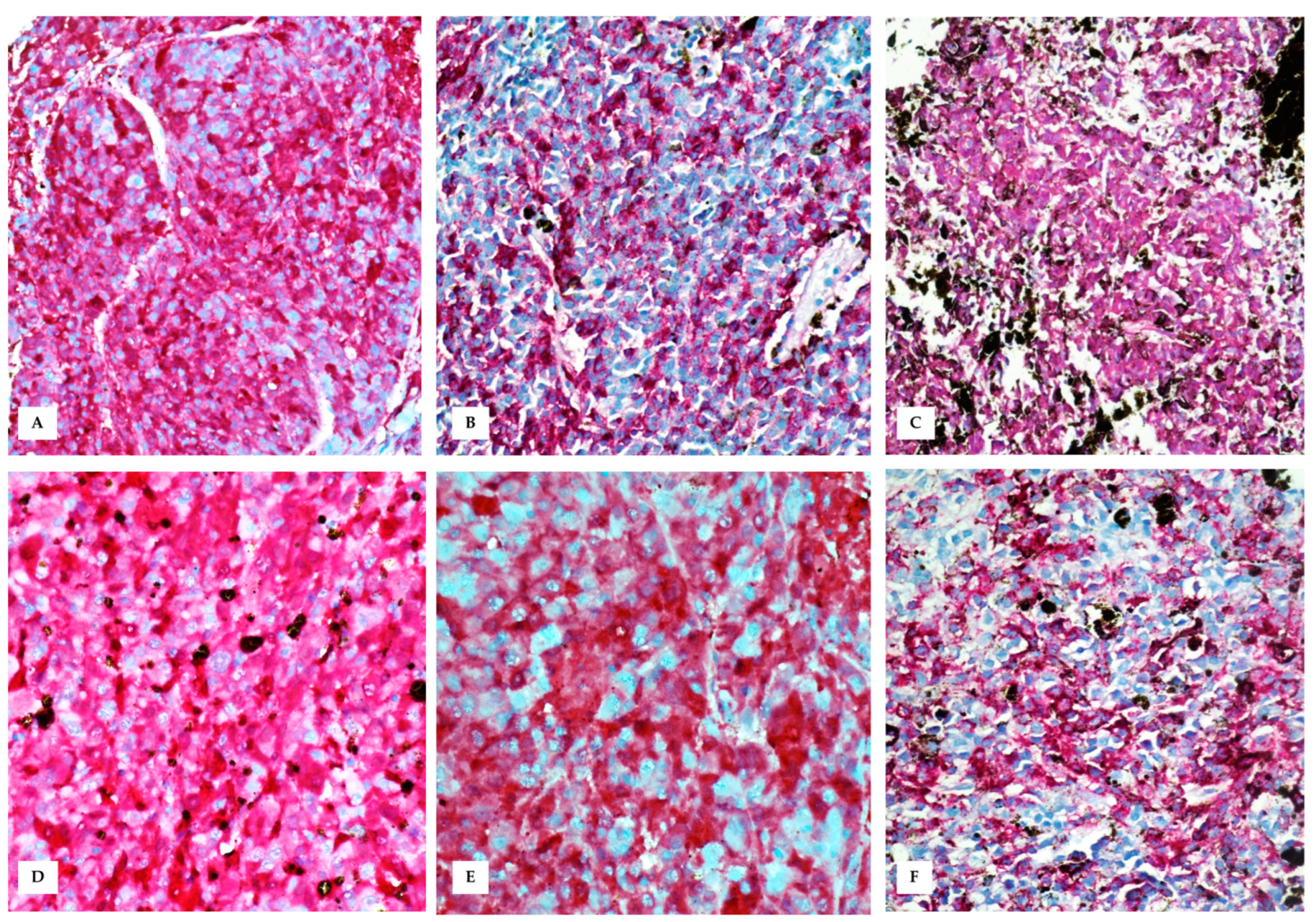 Vetsci 10 00471 g006