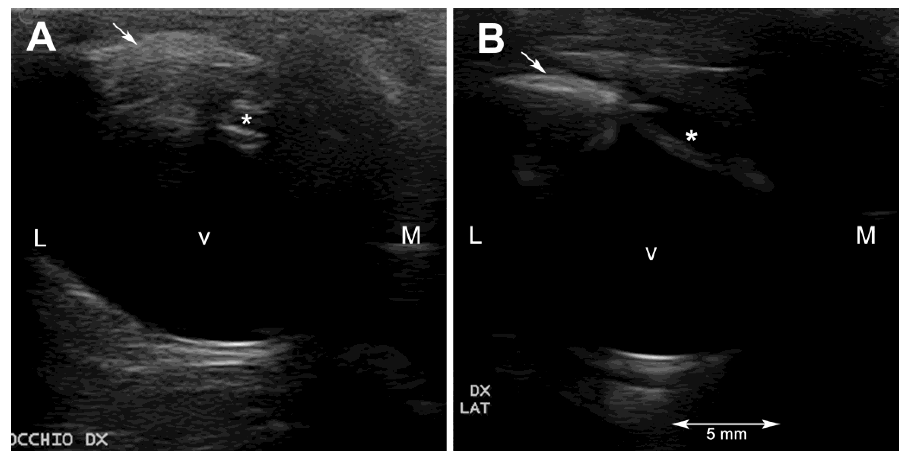 Vetsci 10 00474 g002