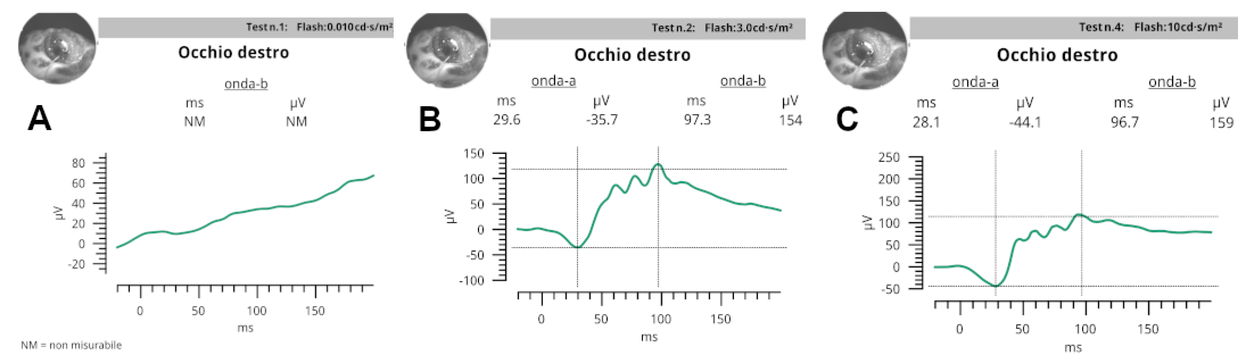 Vetsci 10 00474 g005