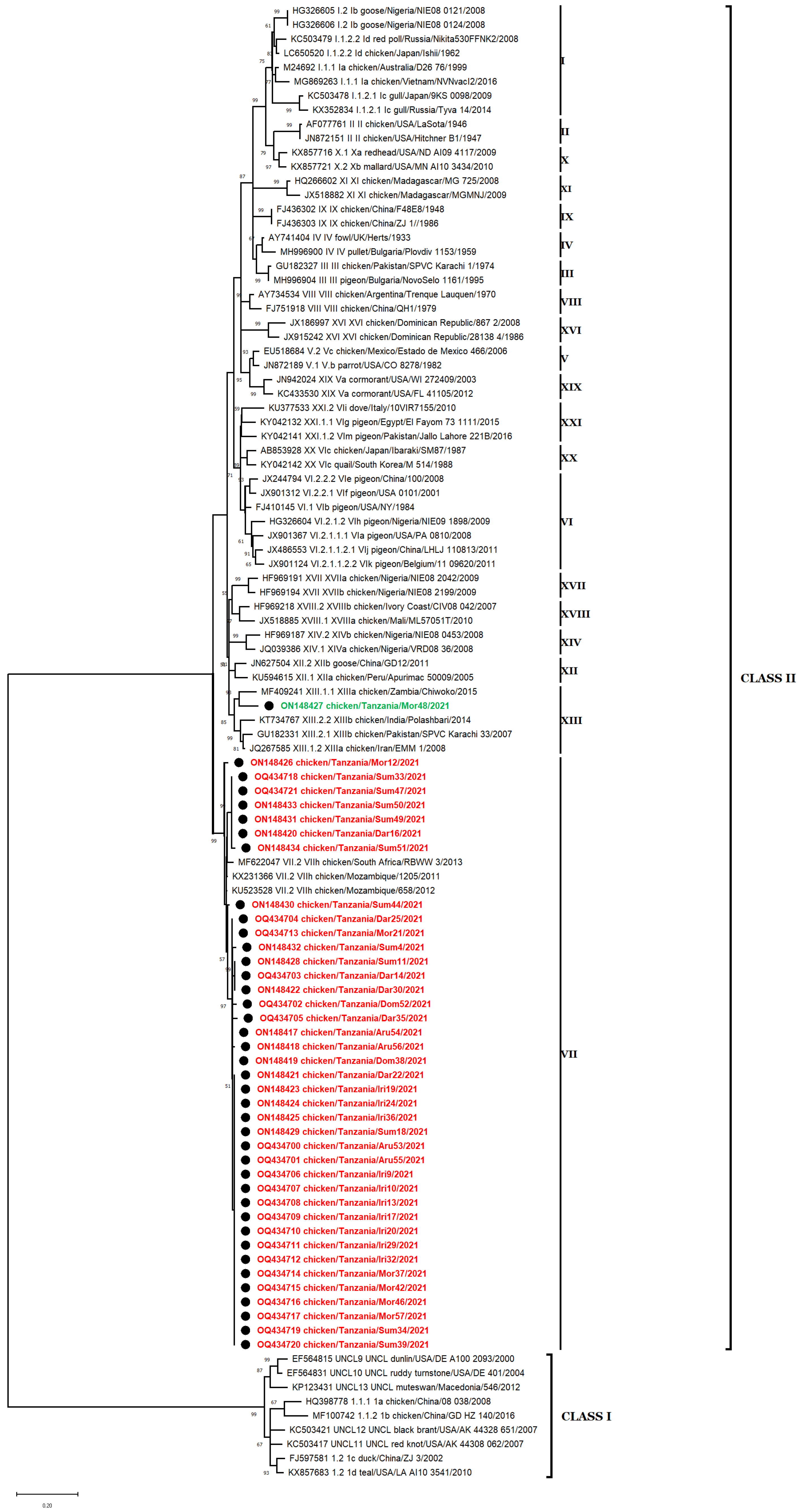 Vetsci 10 00477 g002