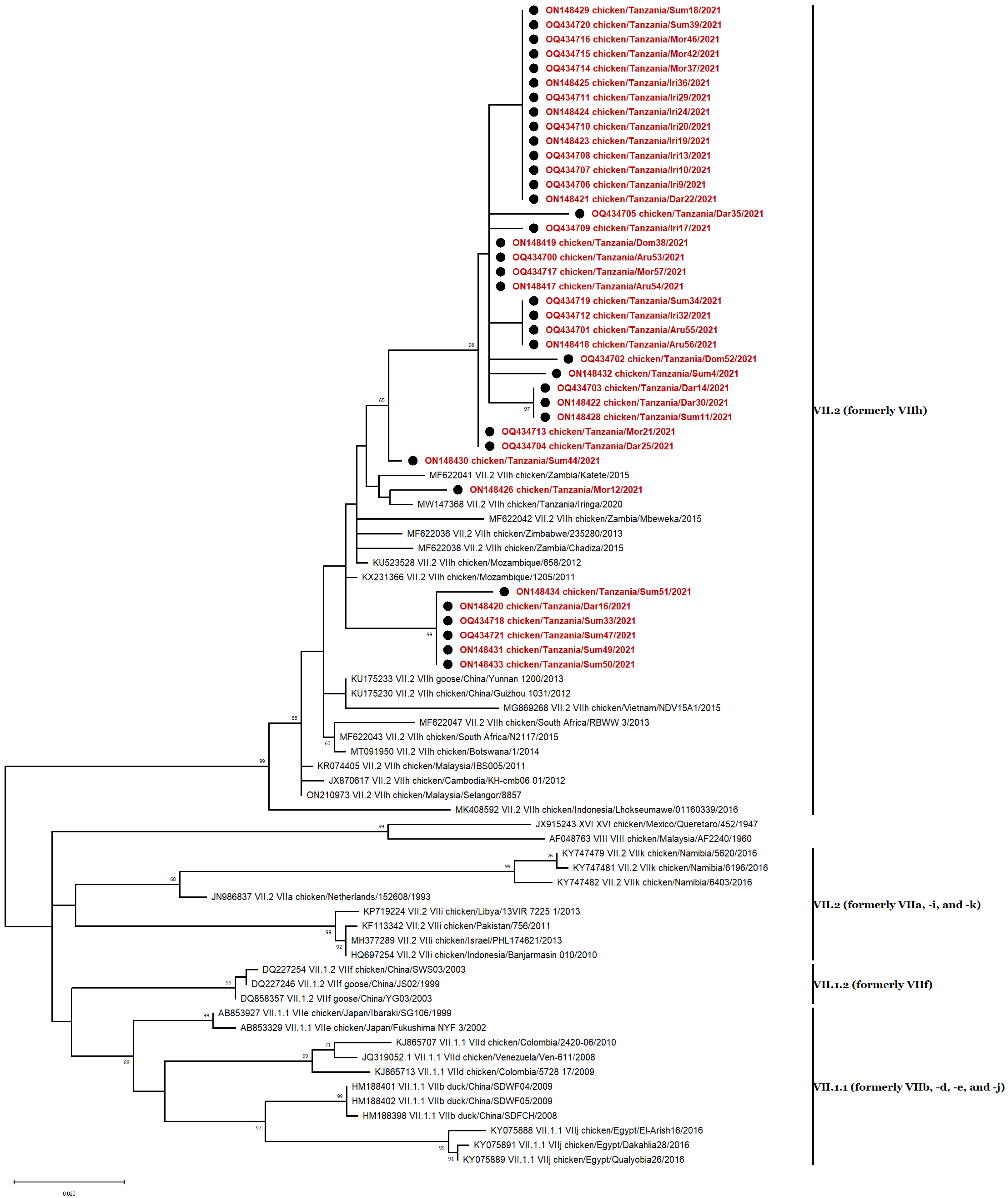 Vetsci 10 00477 g003