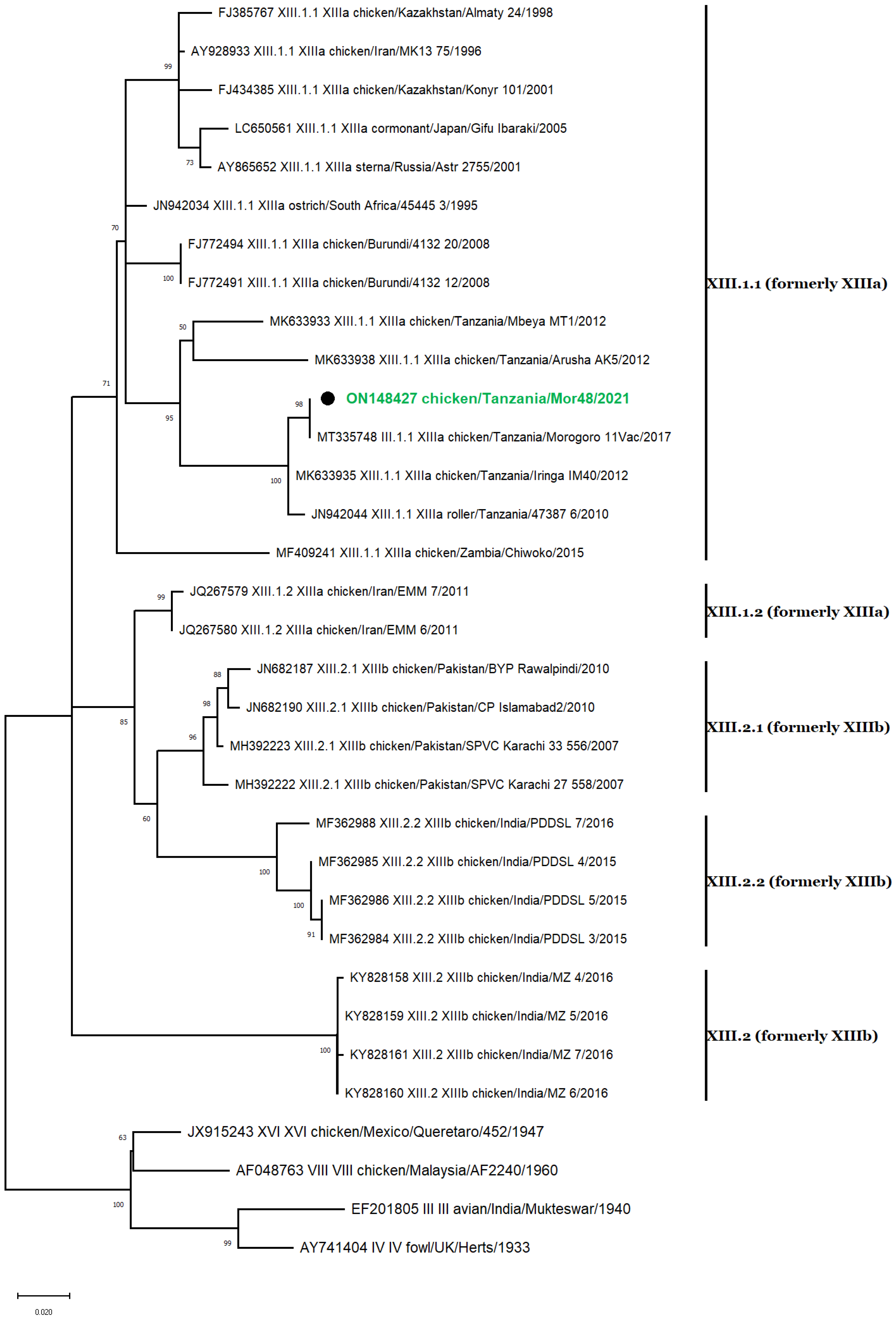 Vetsci 10 00477 g004