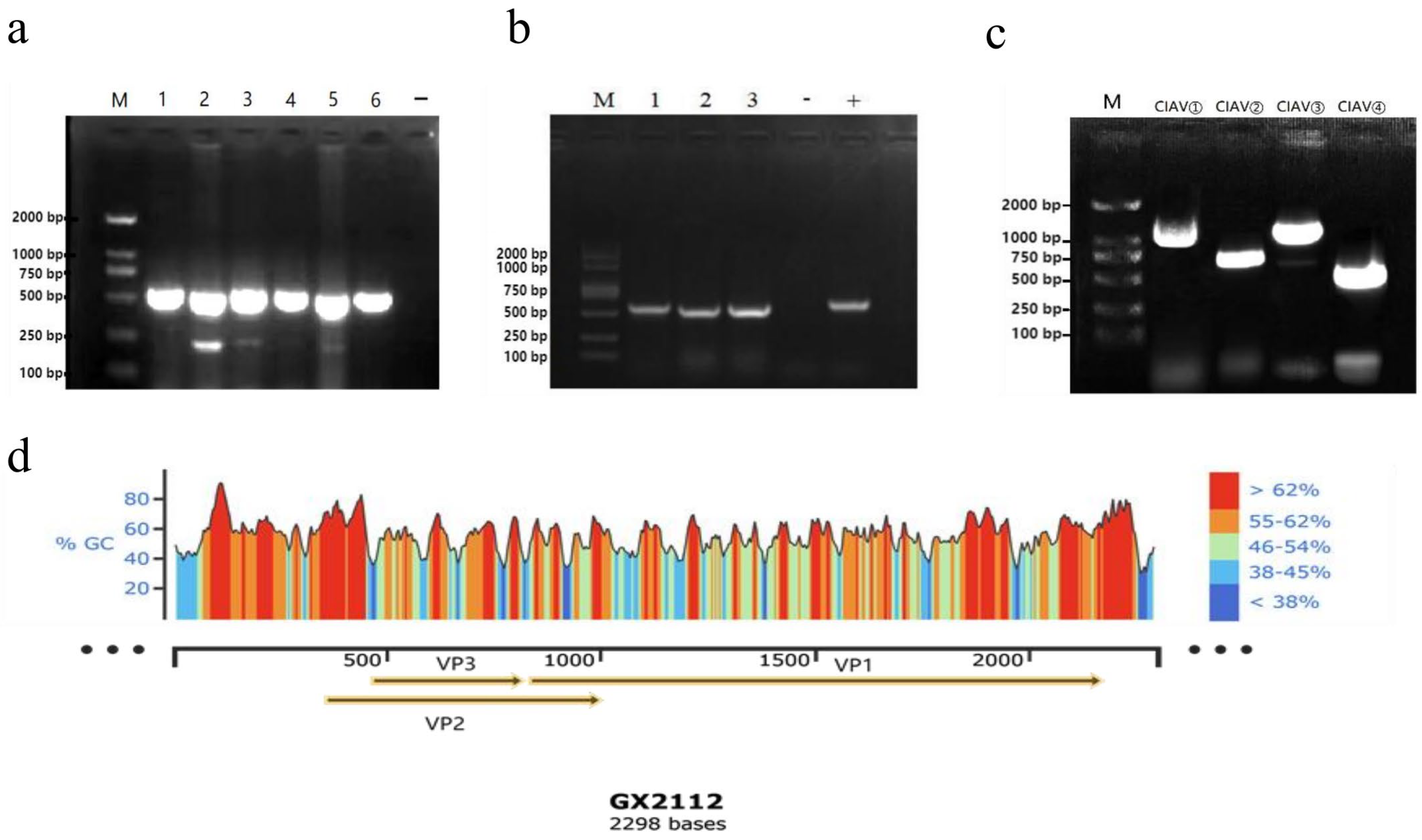 Vetsci 10 00481 g002 Vetsci 10 00481 g002