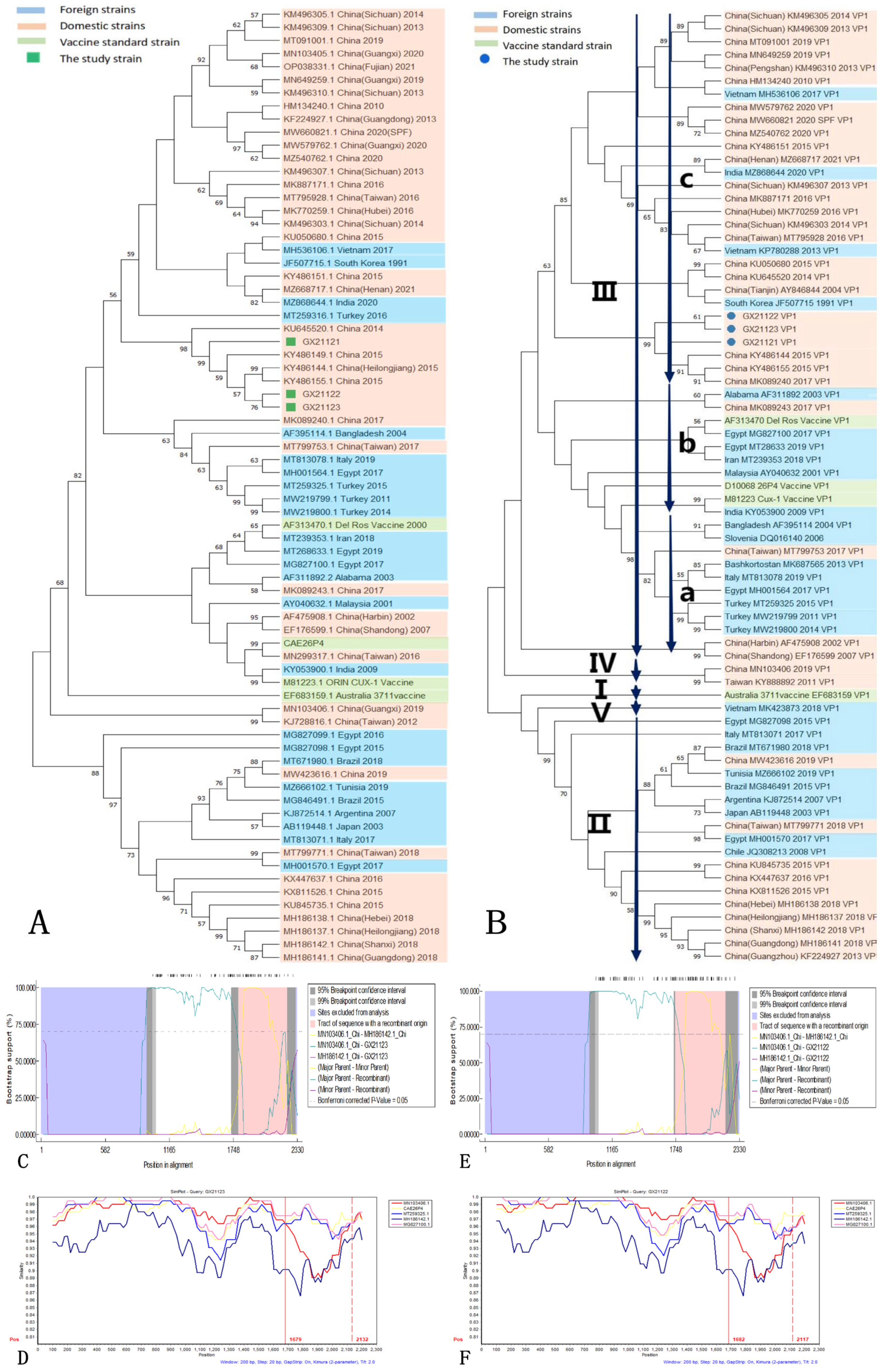 Vetsci 10 00481 g004 Vetsci 10 00481 g004