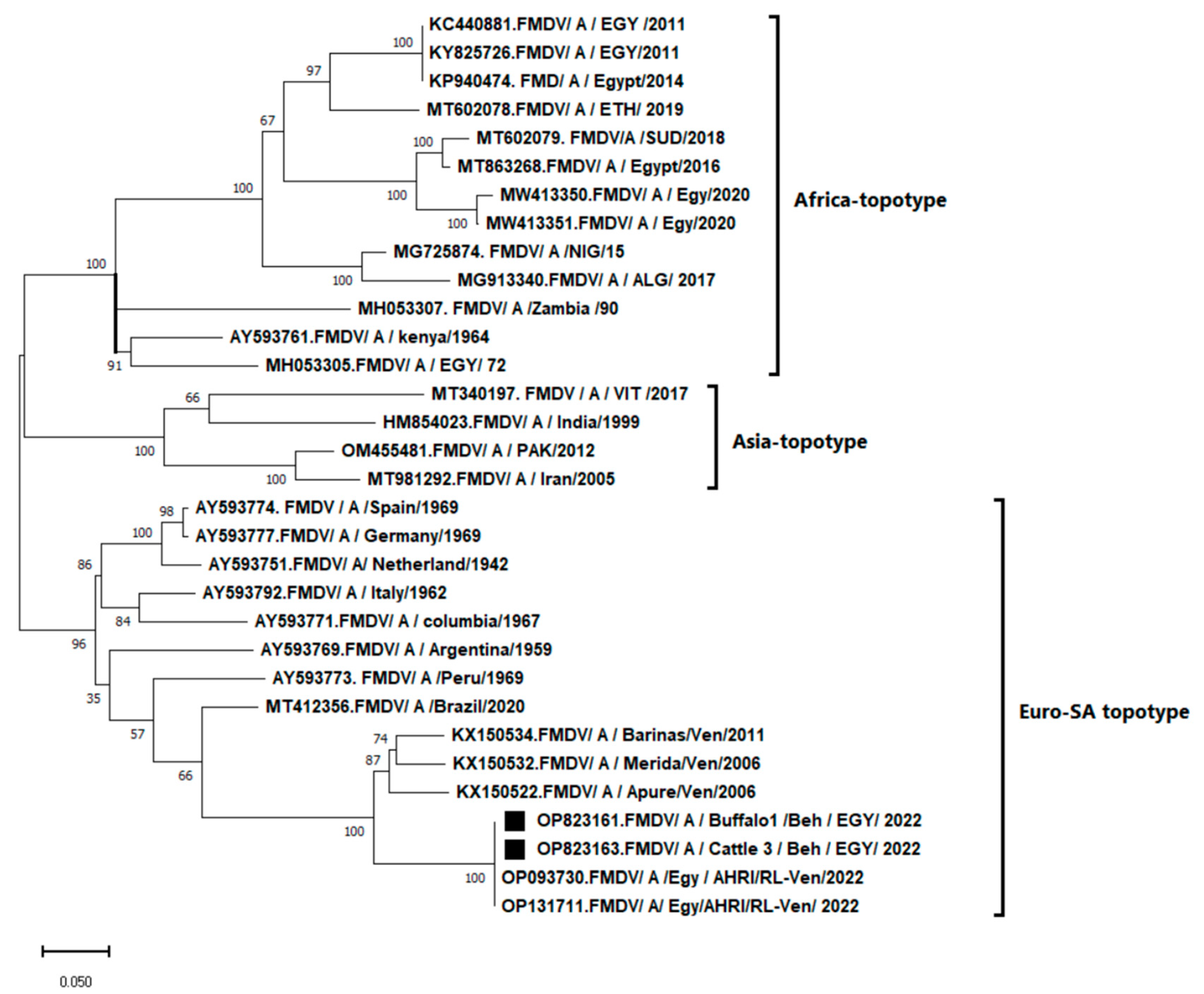 Vetsci 10 00488 g002 Vetsci 10 00488 g002