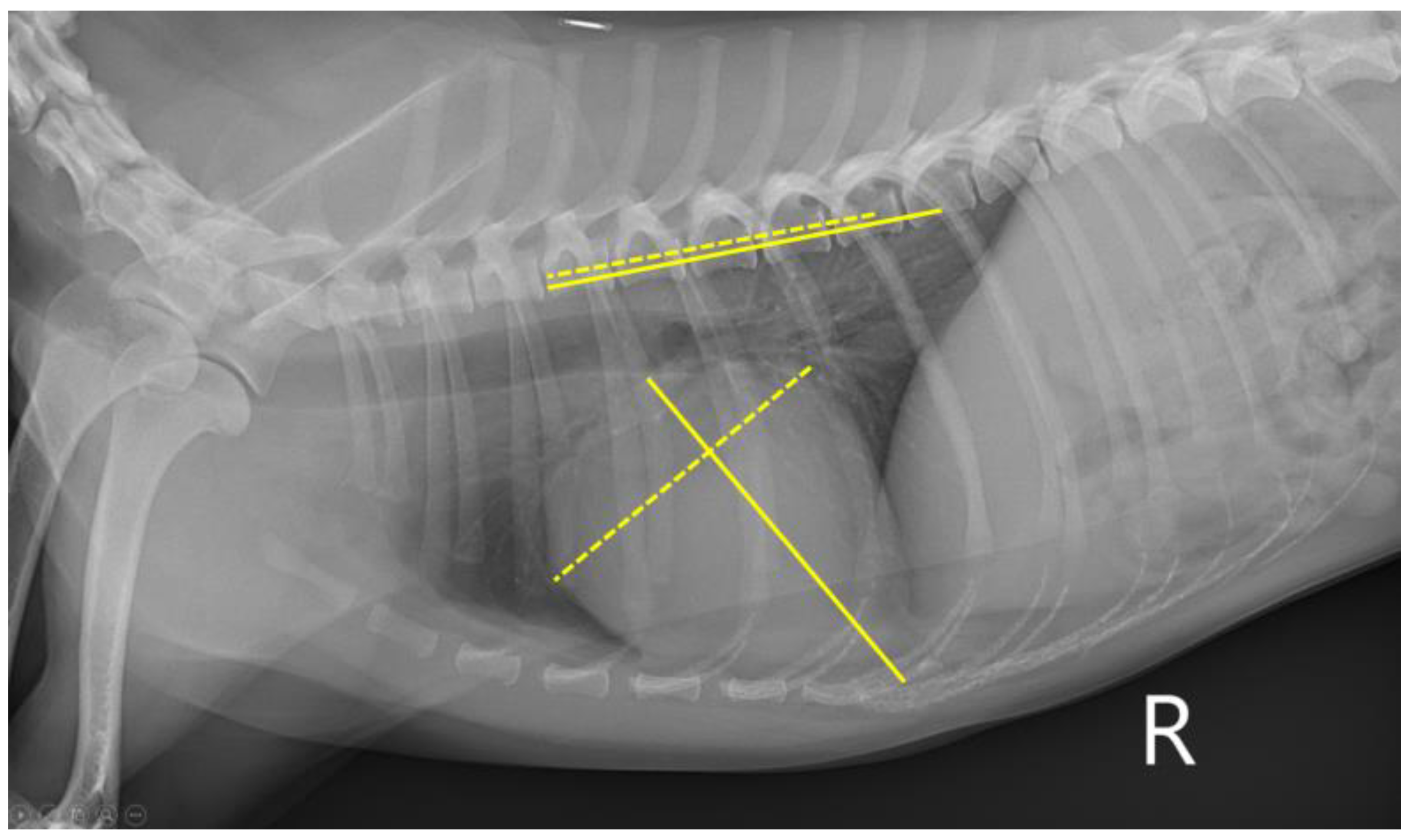 Vetsci 10 00493 g001 Vetsci 10 00493 g001