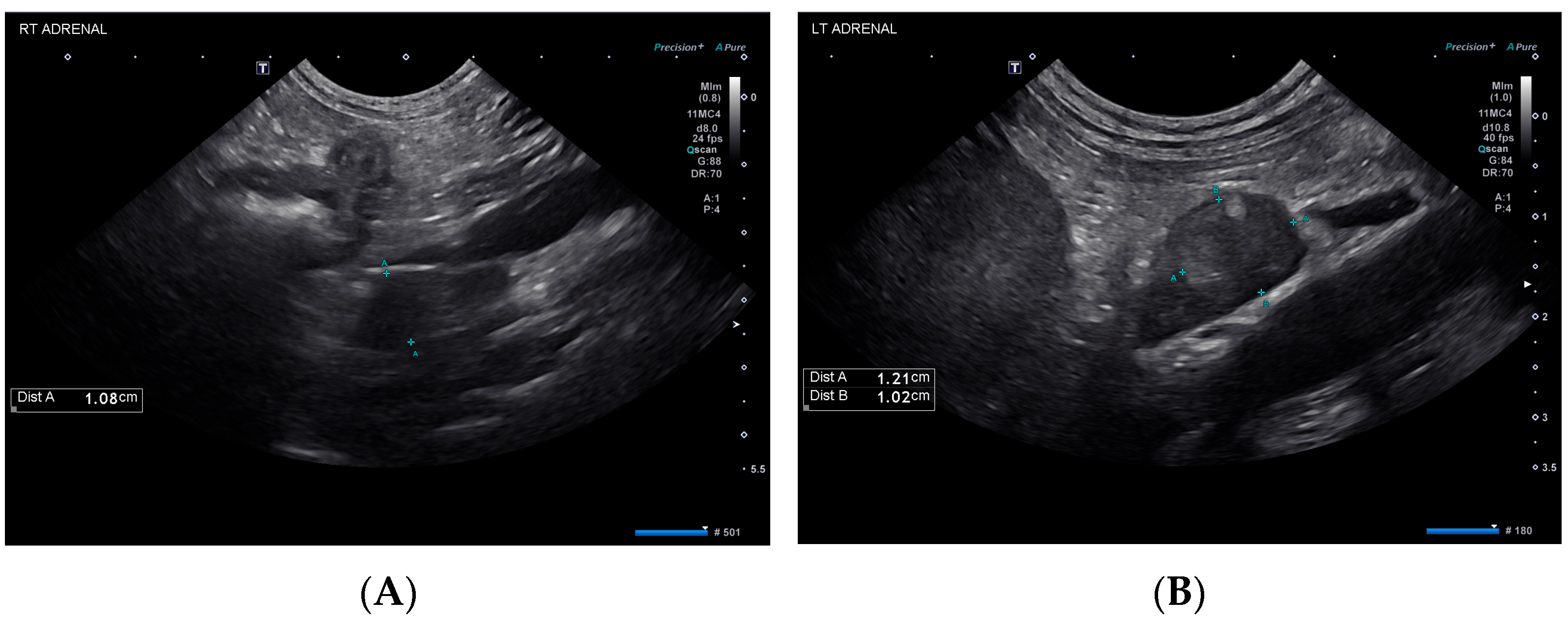 Vetsci 10 00500 g002 Vetsci 10 00500 g002