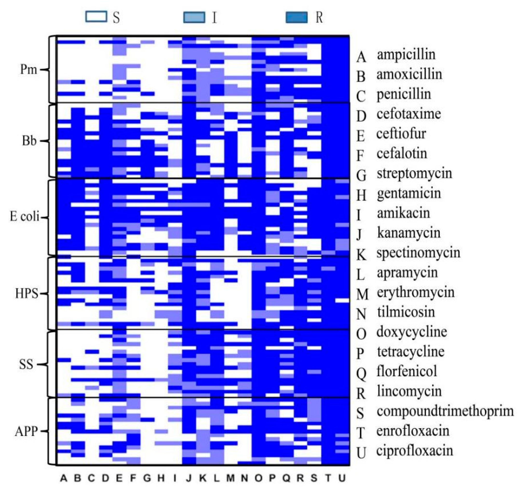Vetsci 10 00502 g004