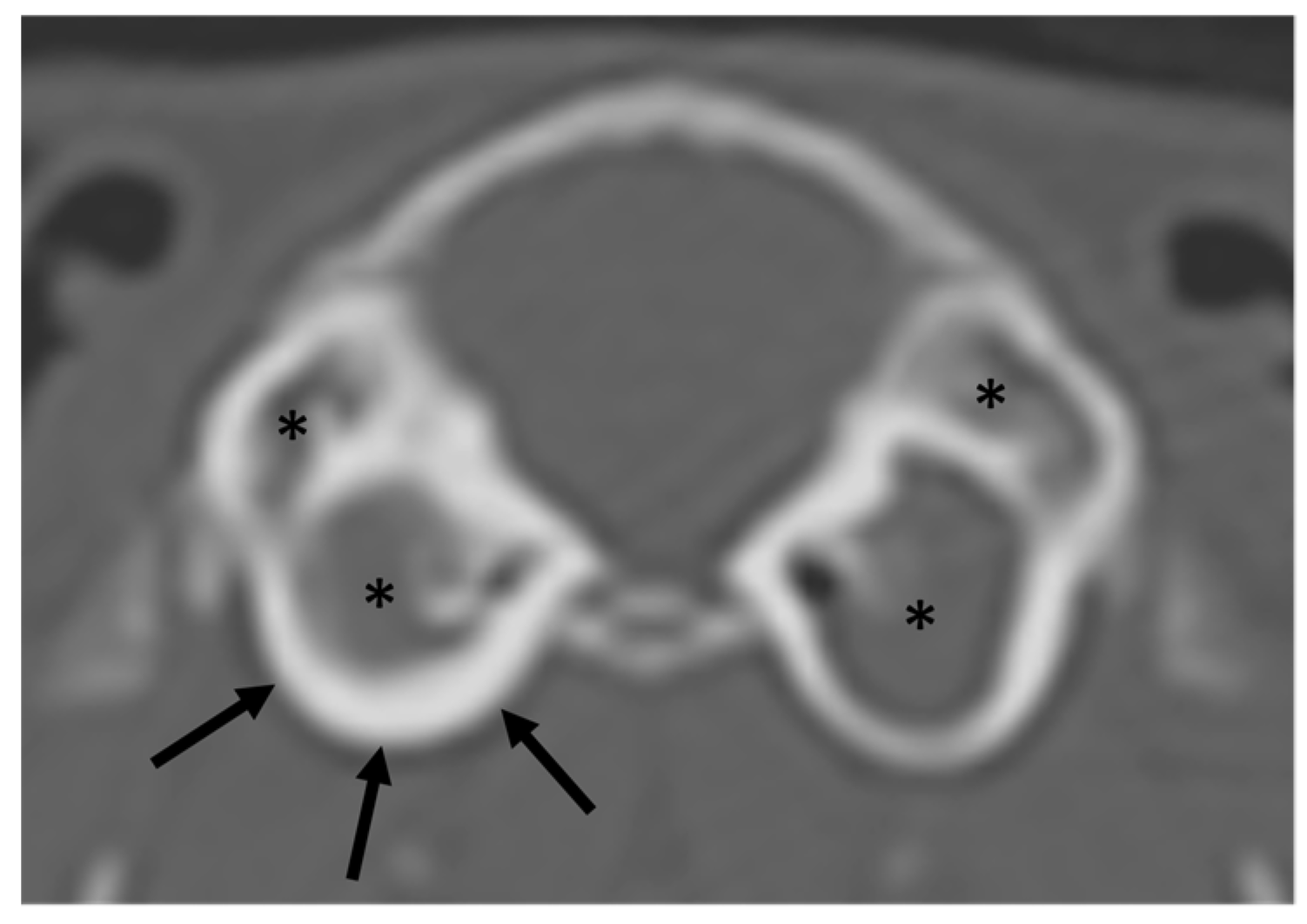 Vetsci 10 00504 g003 Vetsci 10 00504 g003