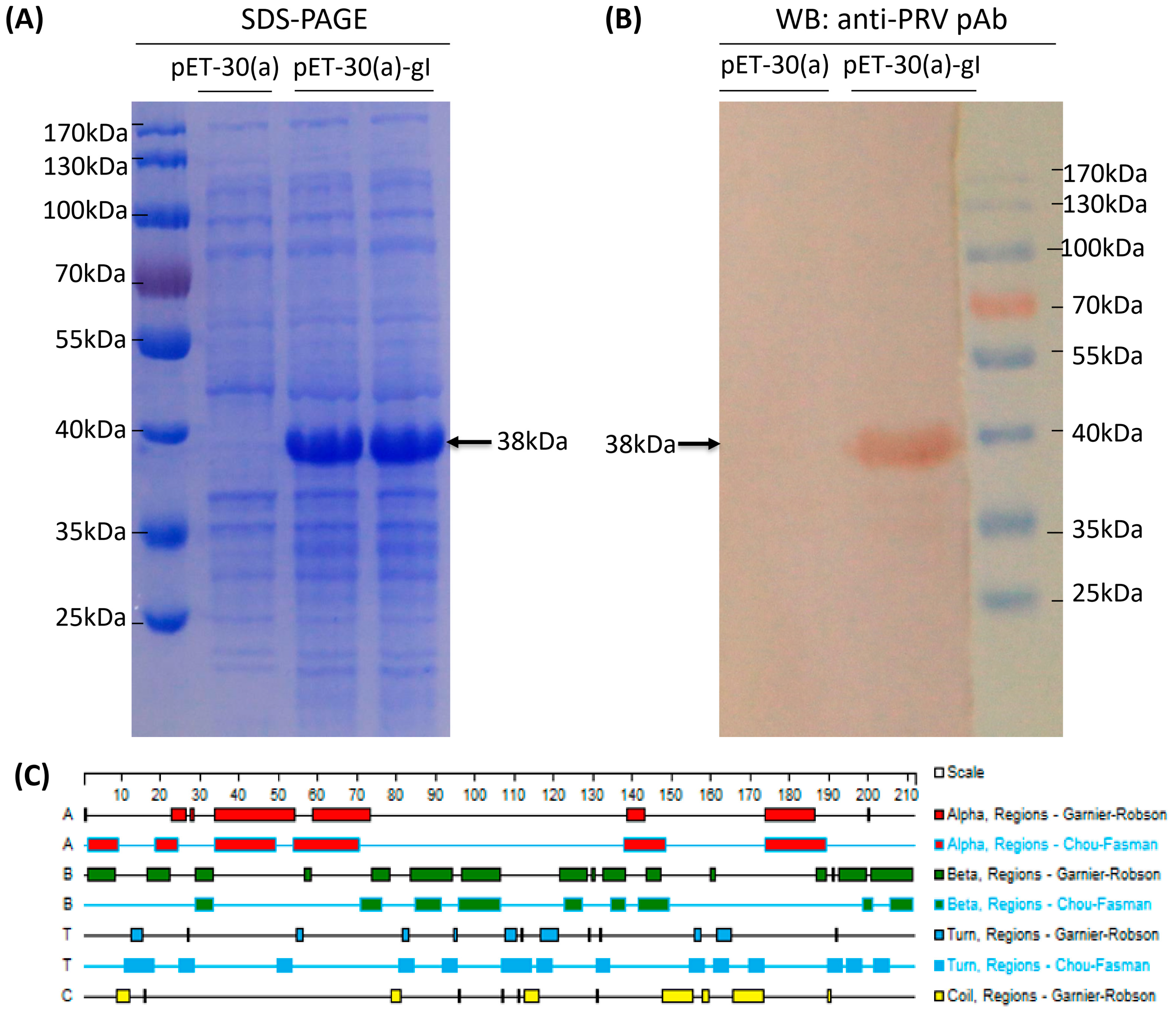 Vetsci 10 00506 g003 Vetsci 10 00506 g003