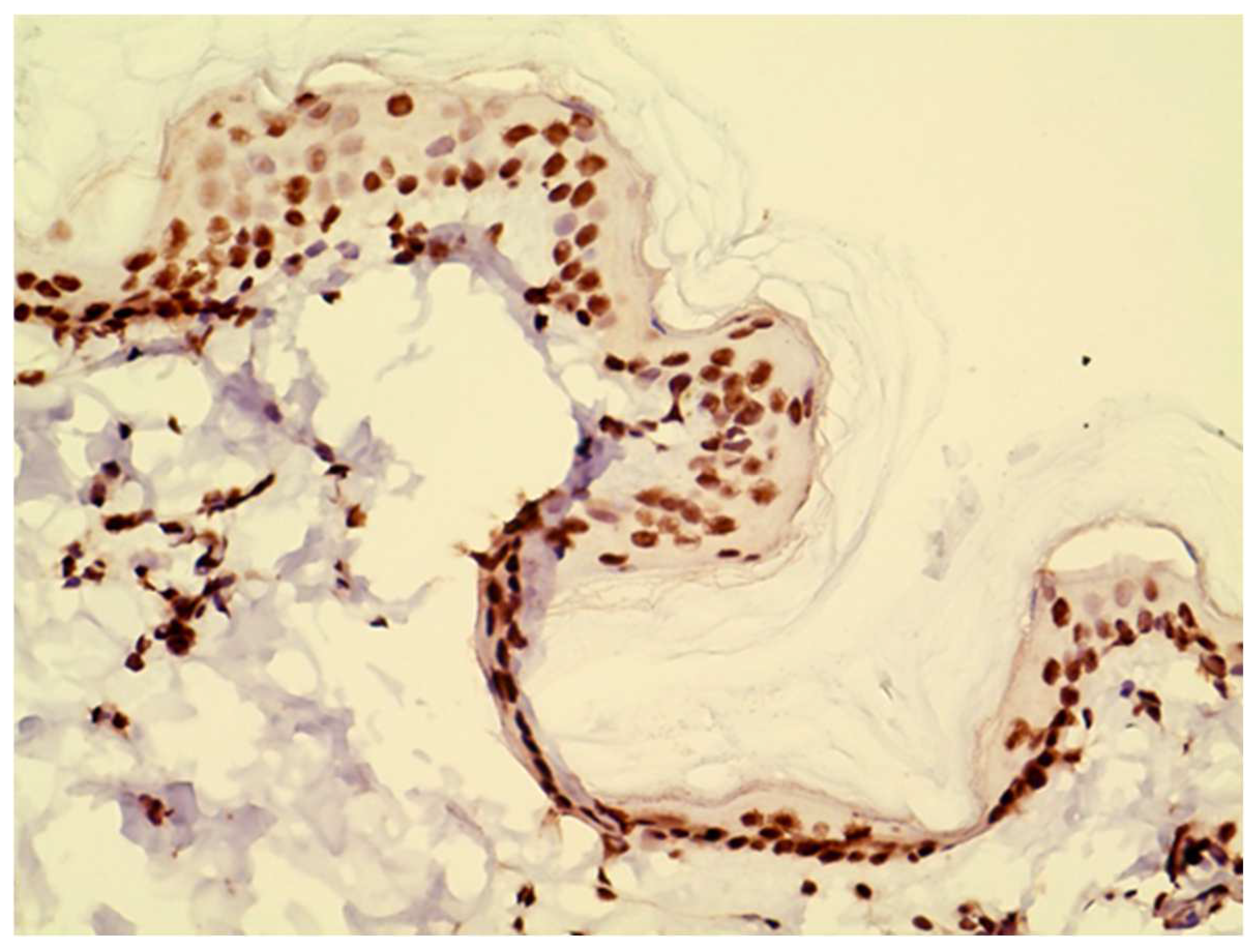 Vetsci 10 00512 g002